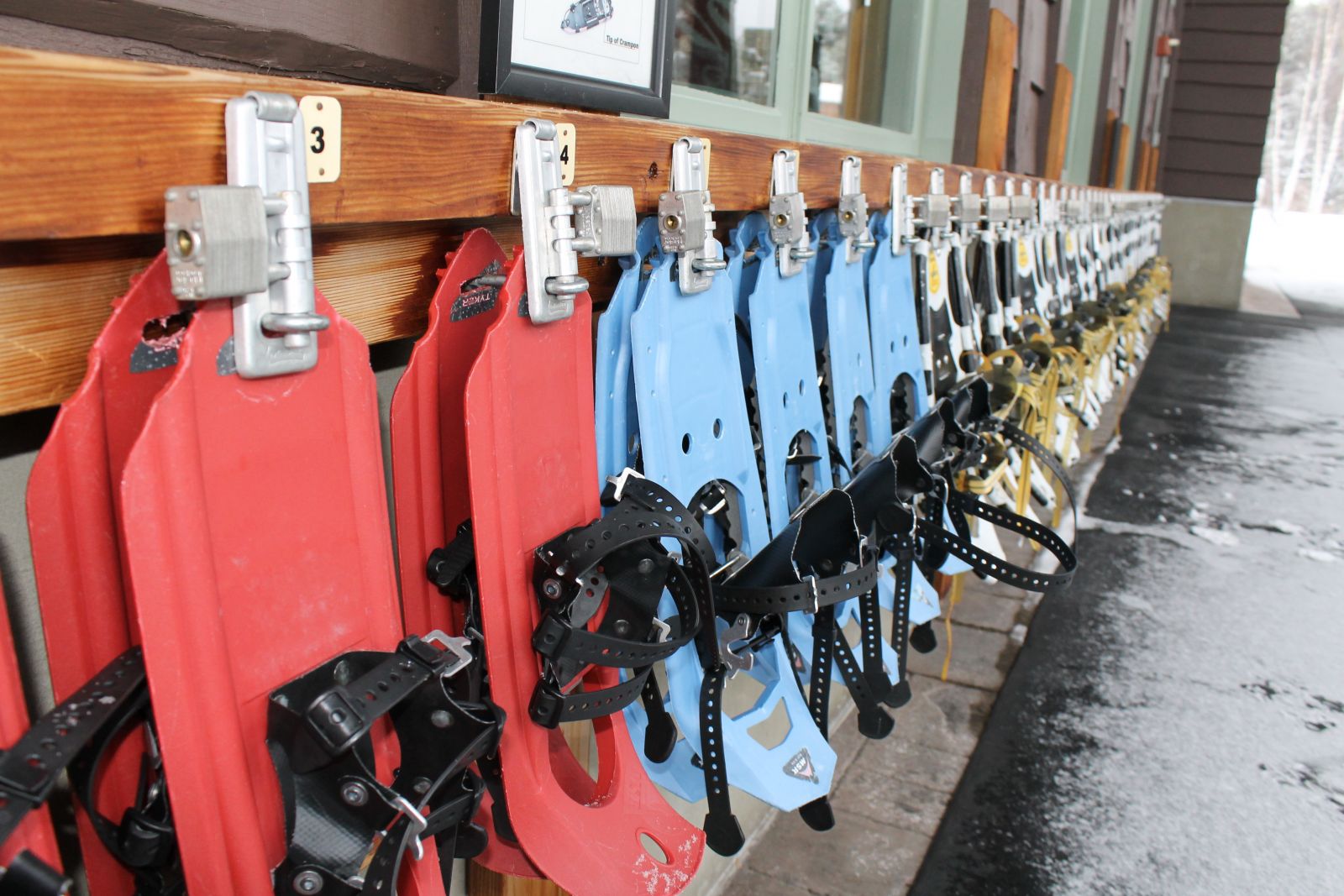 Plenty to choose from!