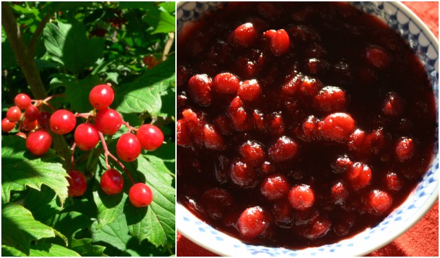 These North American natives were known as "crane berries" because cranes in the marshes were so fond of them. In colonial times, the sweetener was the locally available maple syrup.