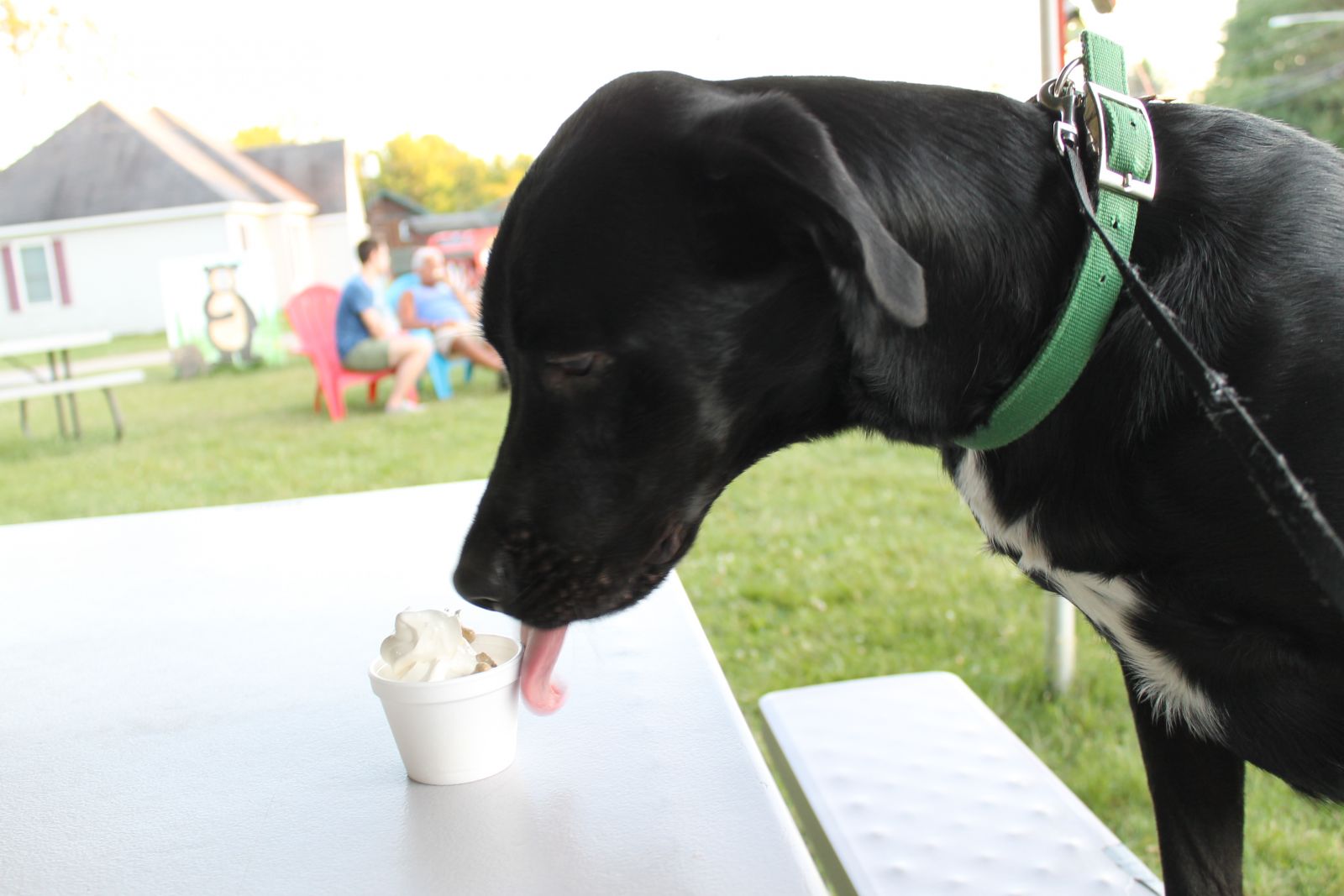 He had dessert before dinner! Don't tell anyone.