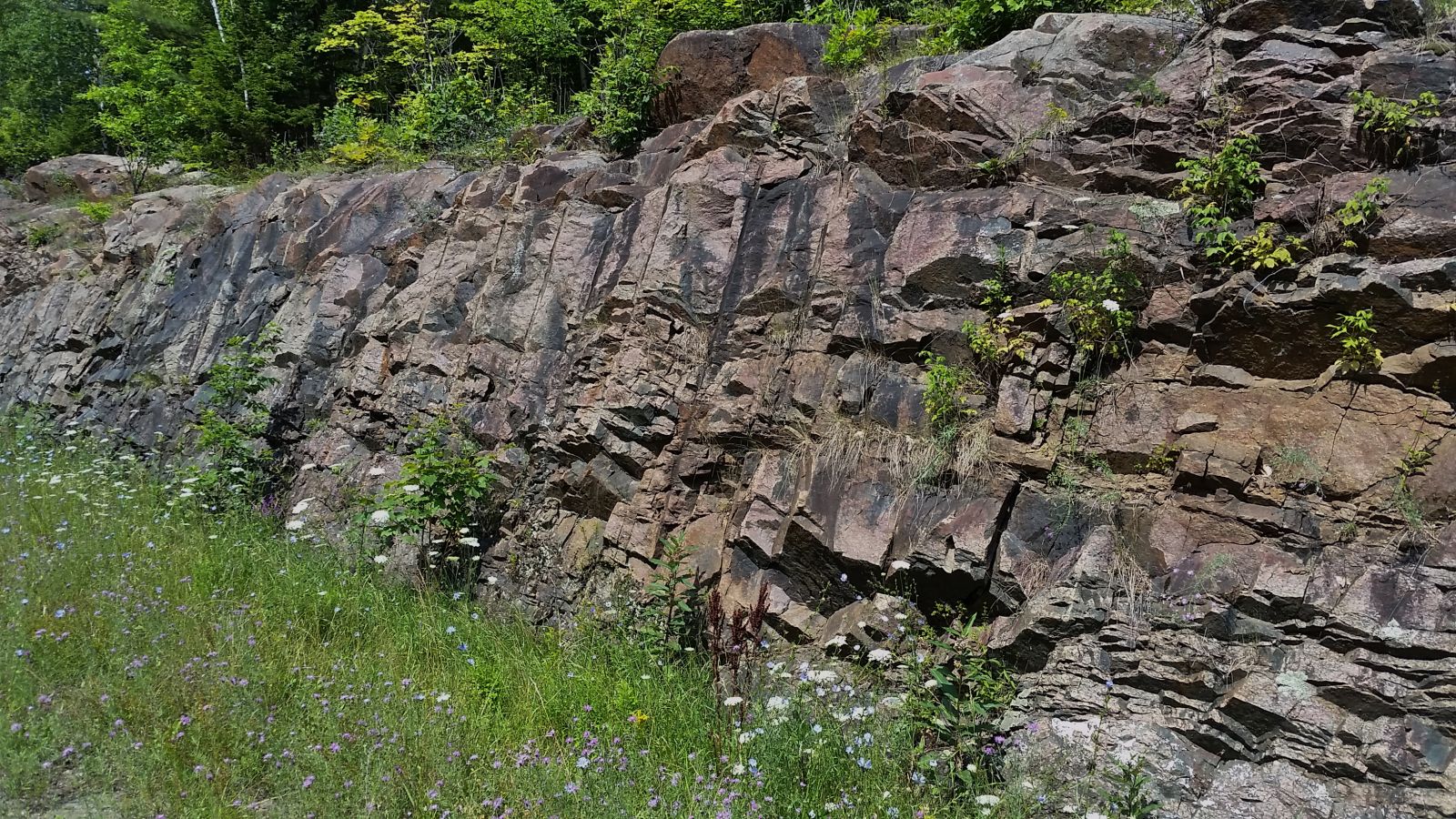 Cliffs, colorful flowers, and lots of plants enhance the route!