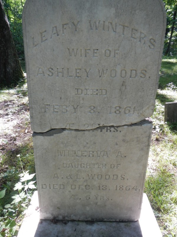 Grave of Leafy Winters