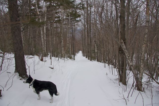 The Cooper Kiln Trail on the way back to the car