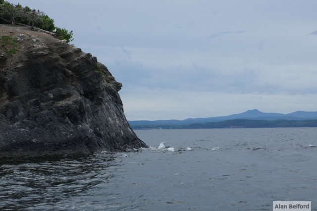 Island B and its steep sides kept the egrets hidden from us.