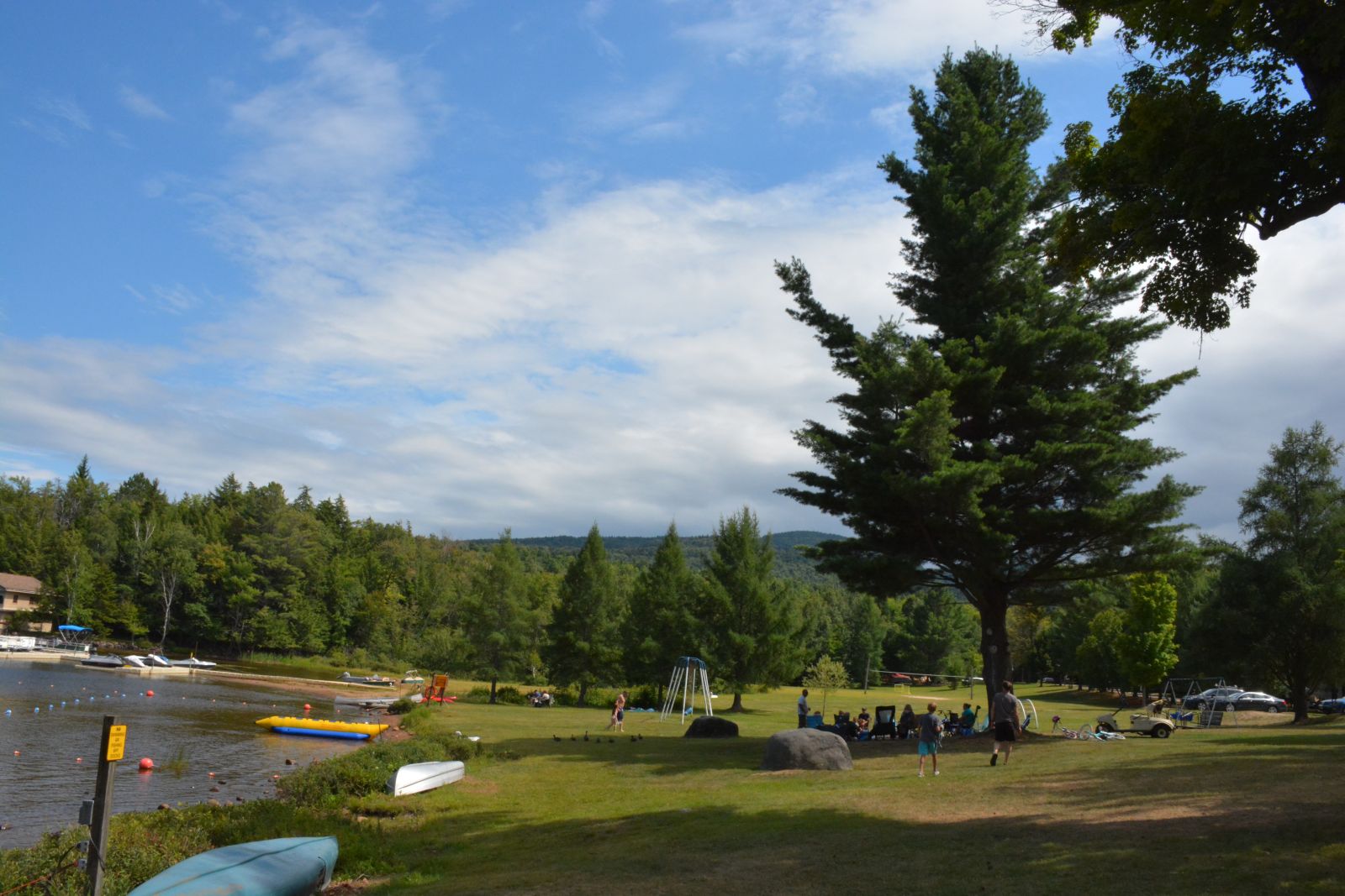 A large pine tree serves as a centerpiece and meeting spot on the Blue Jay Campsite property.
