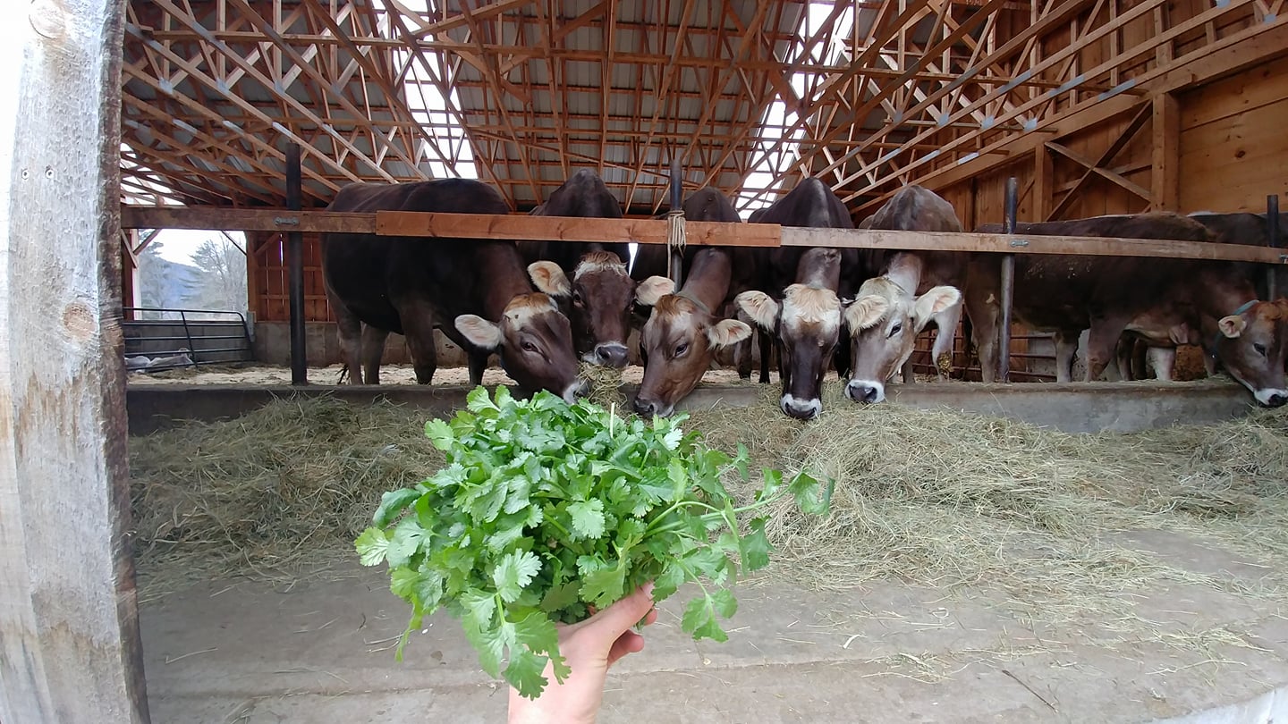 A sneak peek at the harvest.