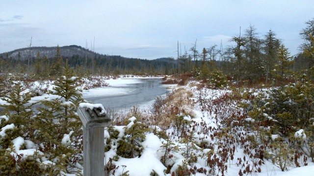 stream in frozen marsh stream in frozen marsh