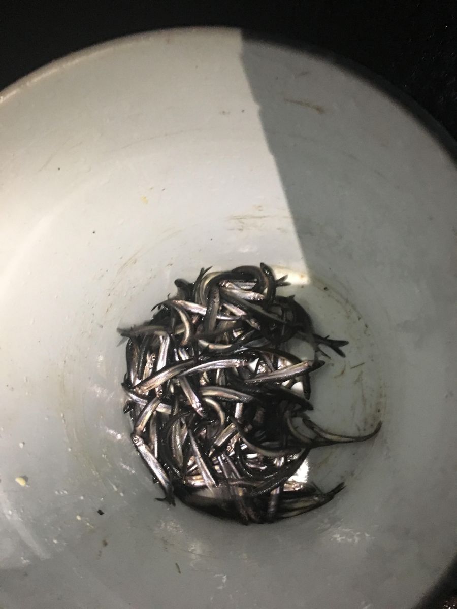 The start to filling our bucket