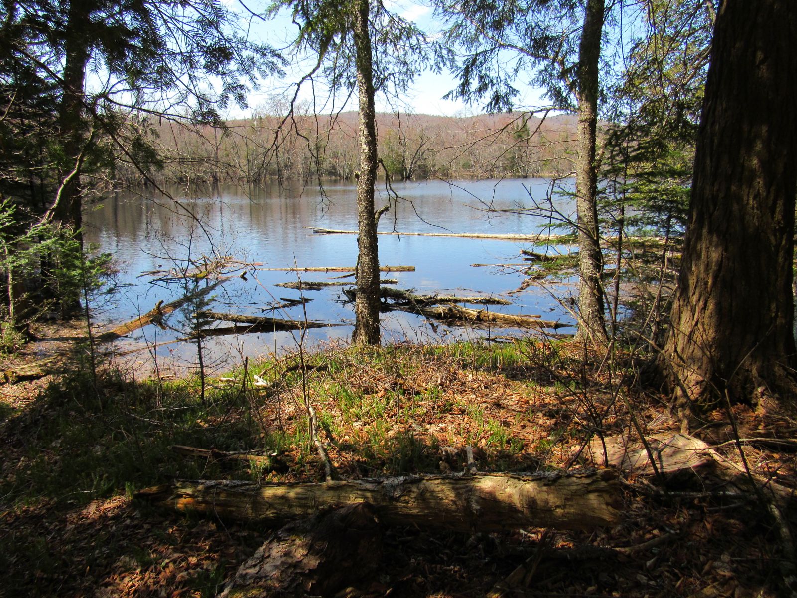 The Raquette River overflow