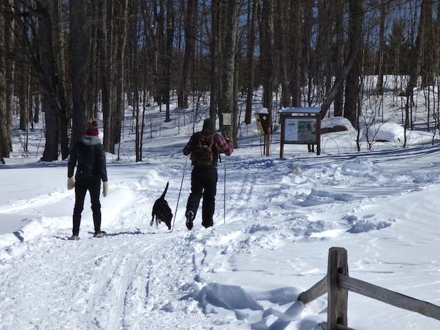 Spend time together in our quiet forests, where the loudest sound is the crunch of snow.