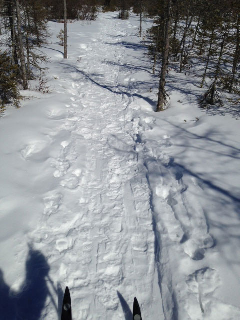 trail trail
