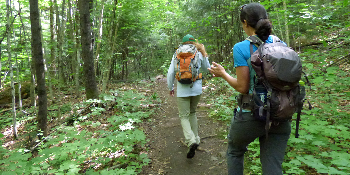 Hiking along the OK Slip Falls Trail