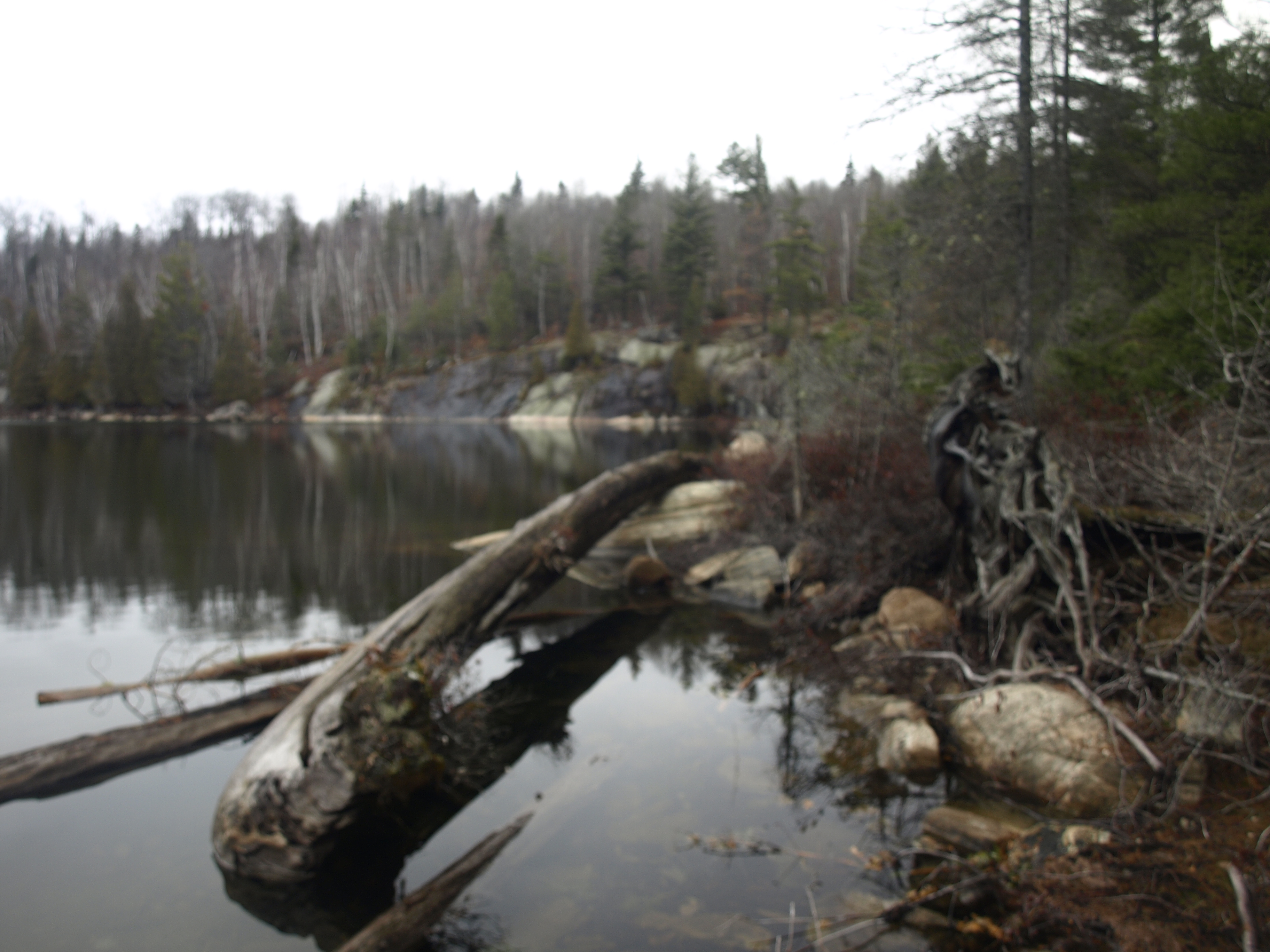 Clear Pond