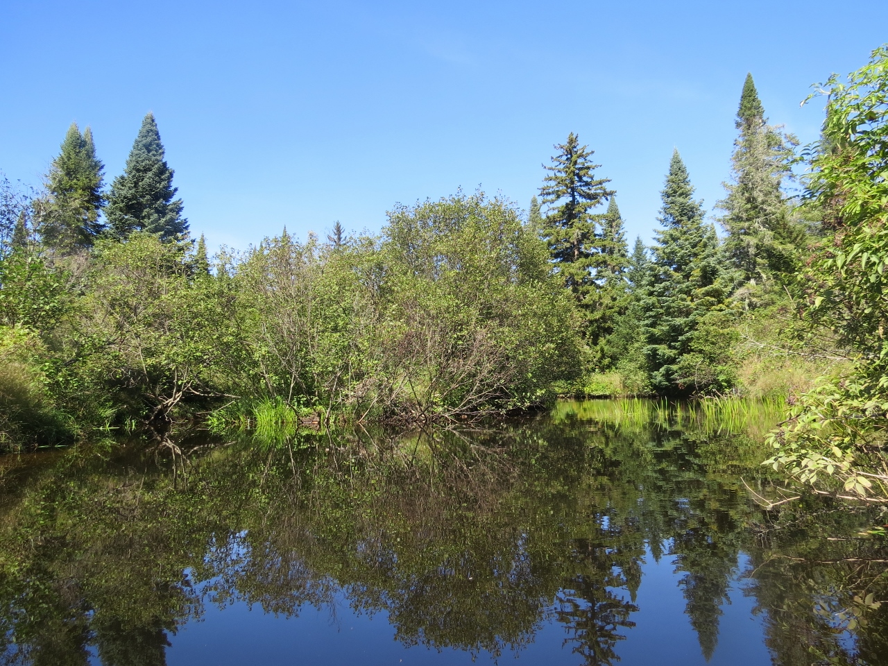 Fishing Brook