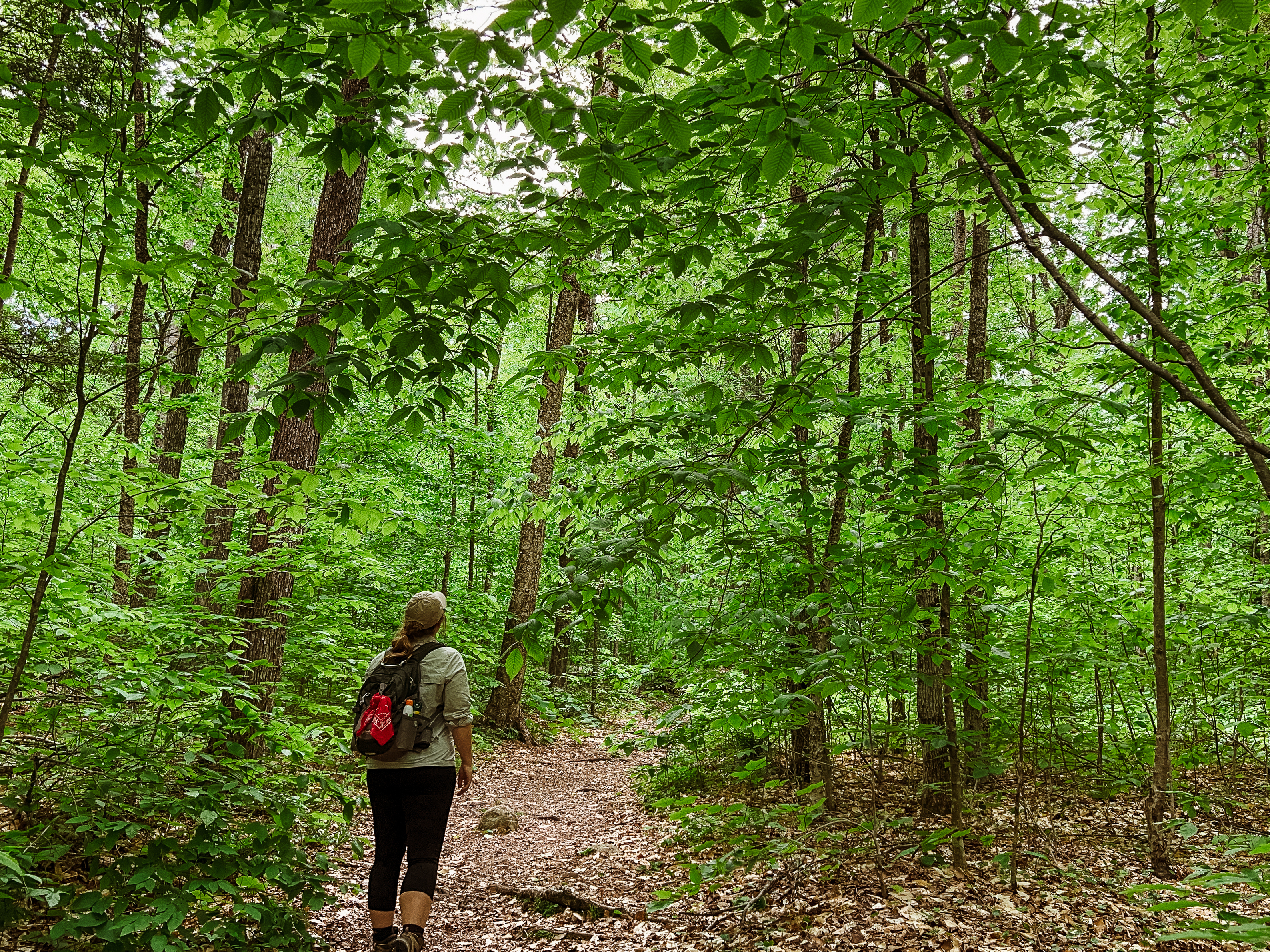 A woman hiking in a very green, dense forest with a red bandana on her backpack