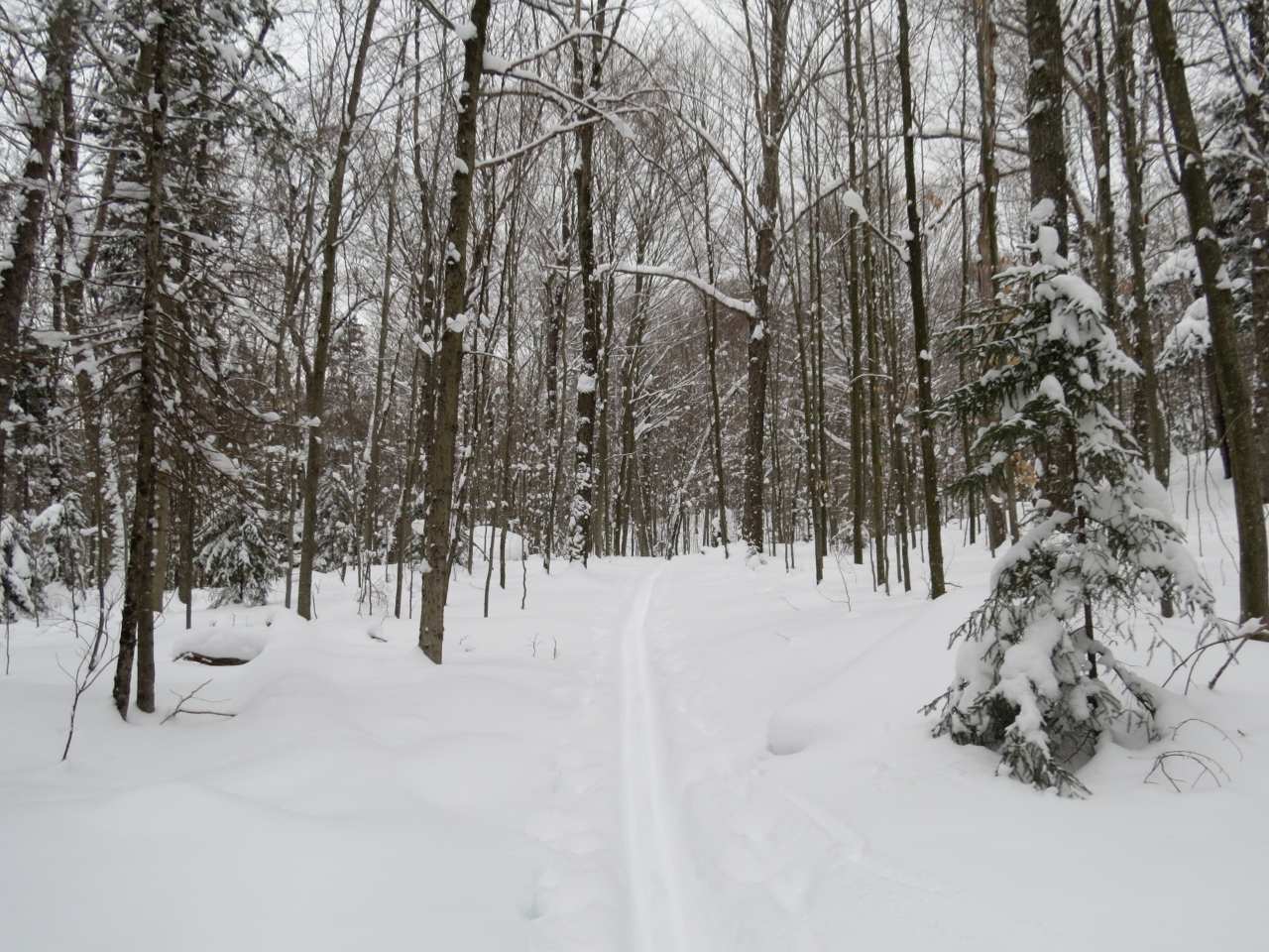 Along the Northville-Placid Trail