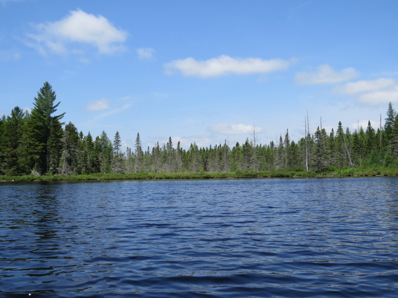 Paddling along the shore of Mud Pond at Cedarlands