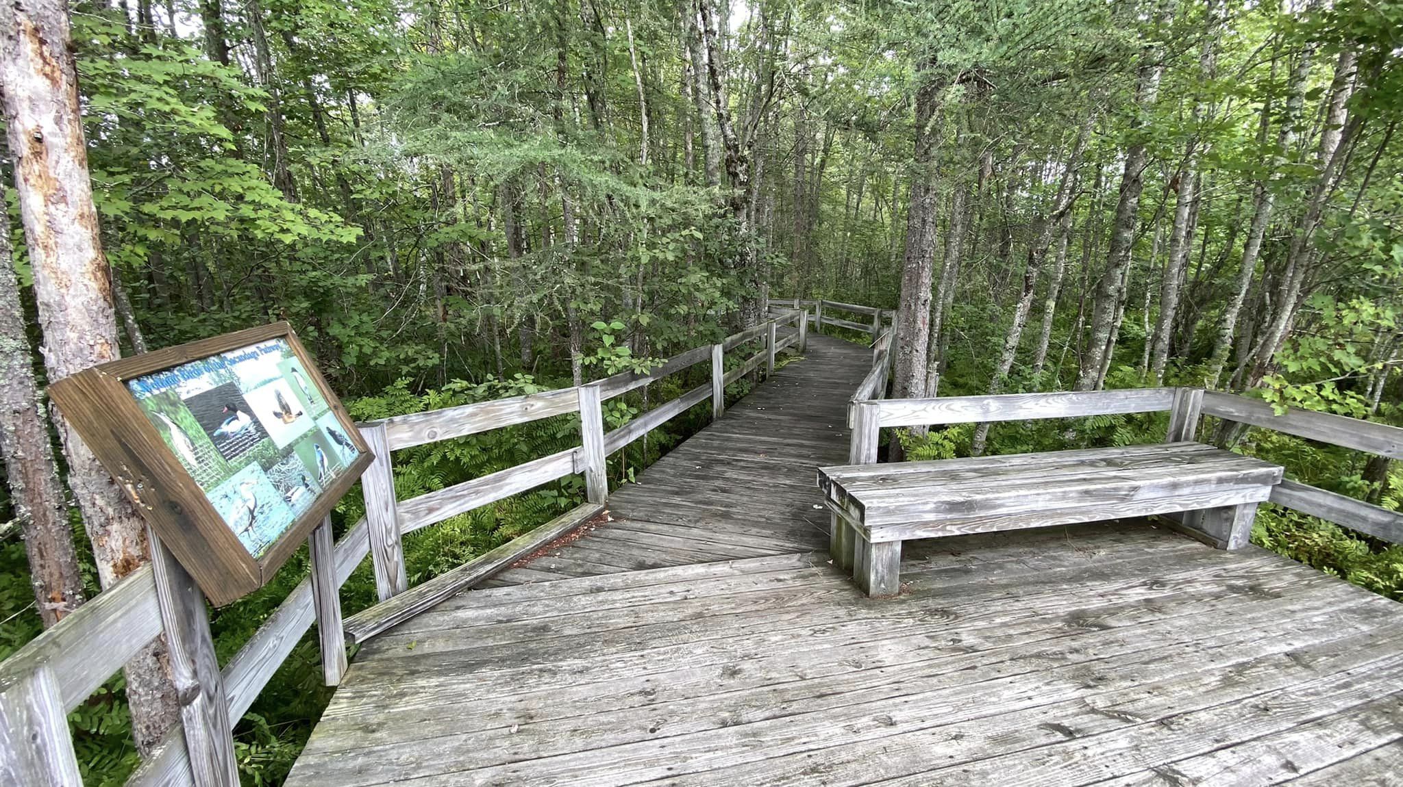 An informative sign in the foreground, the Sacandaga Pathway's accessible boardwalk stretching through the woods into the distance.