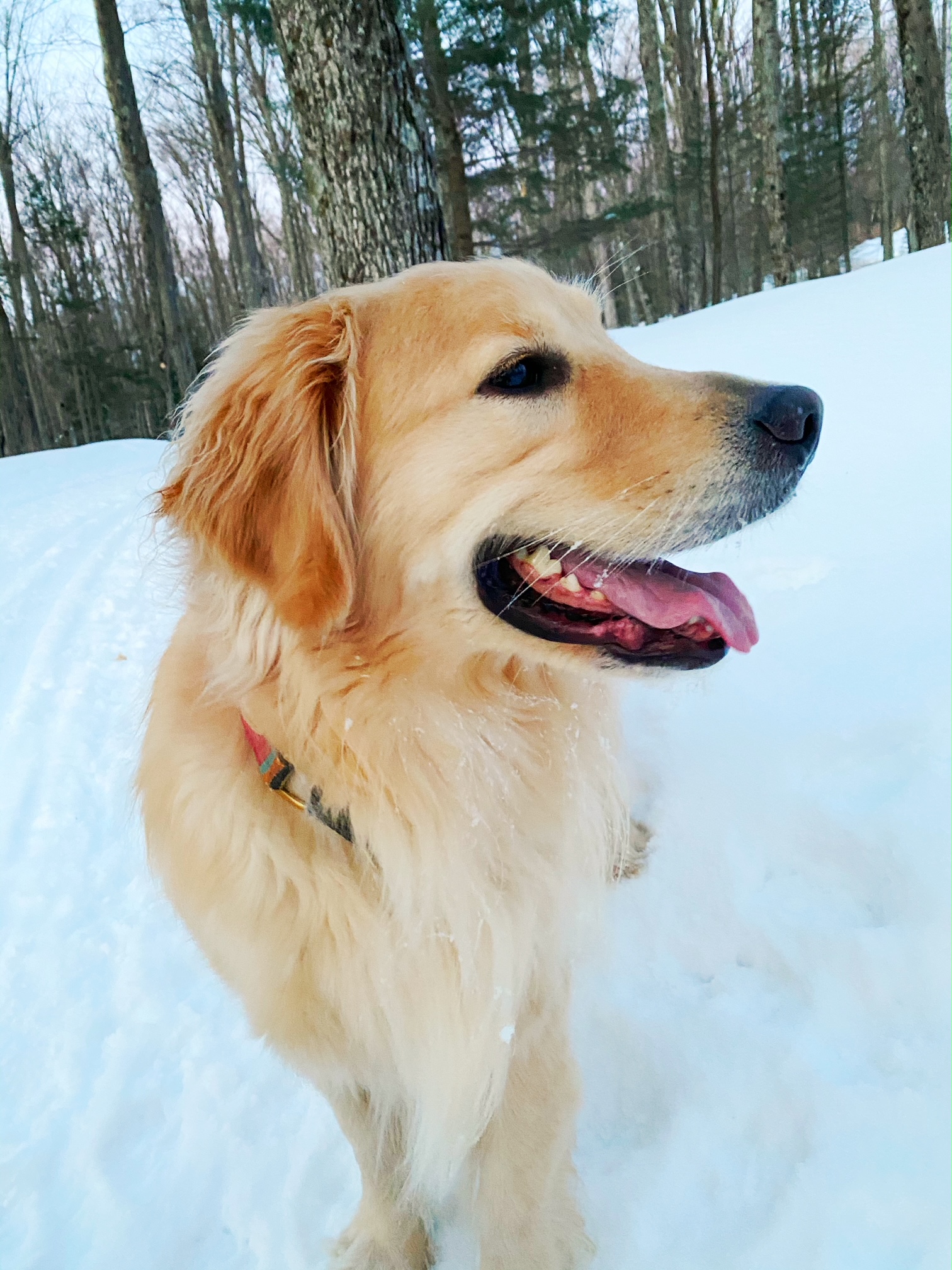 Ready to hit the trails! 