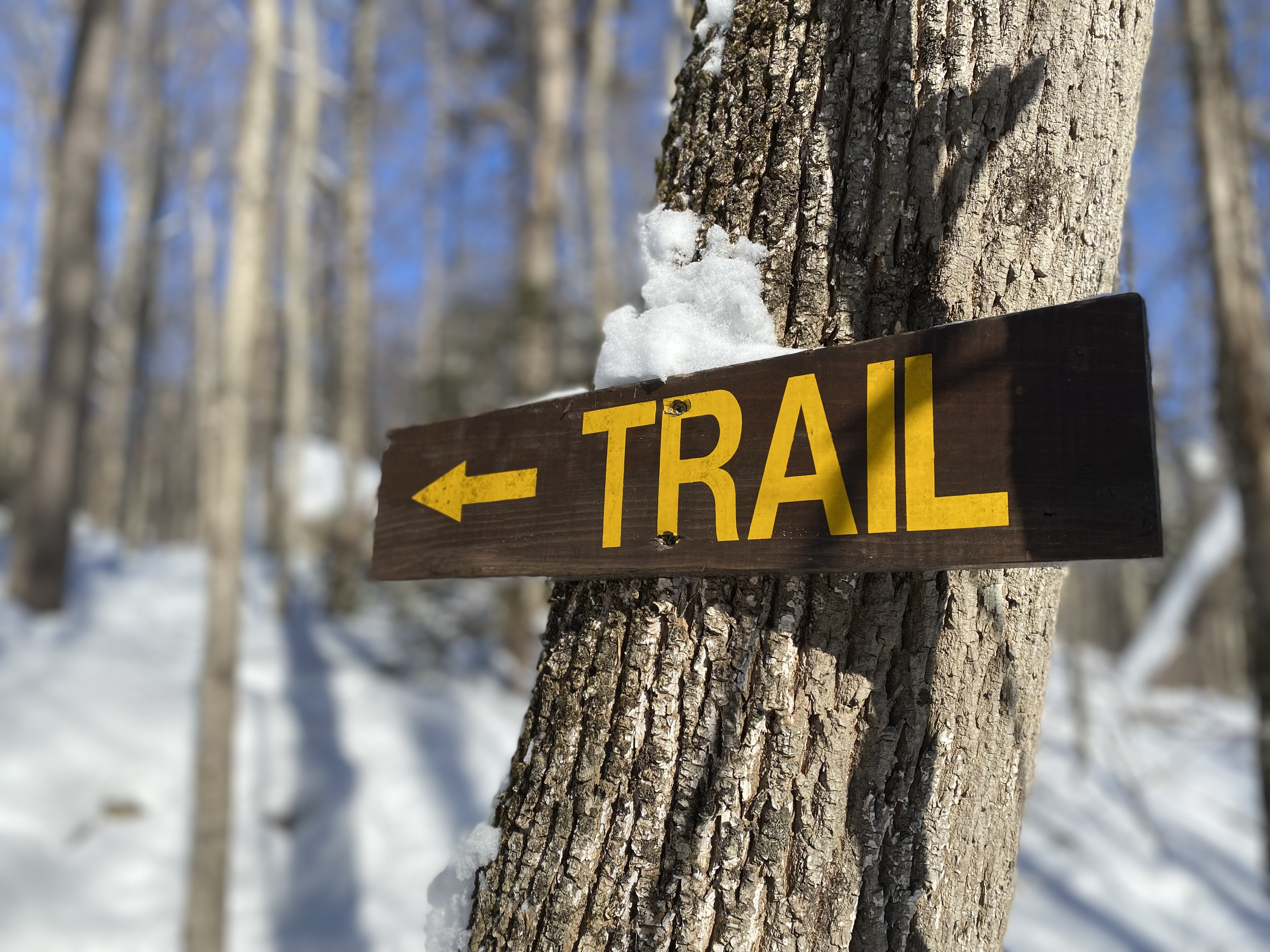 A sign reading "trail" is nailed to a tree, indicating a turn in the footpath.