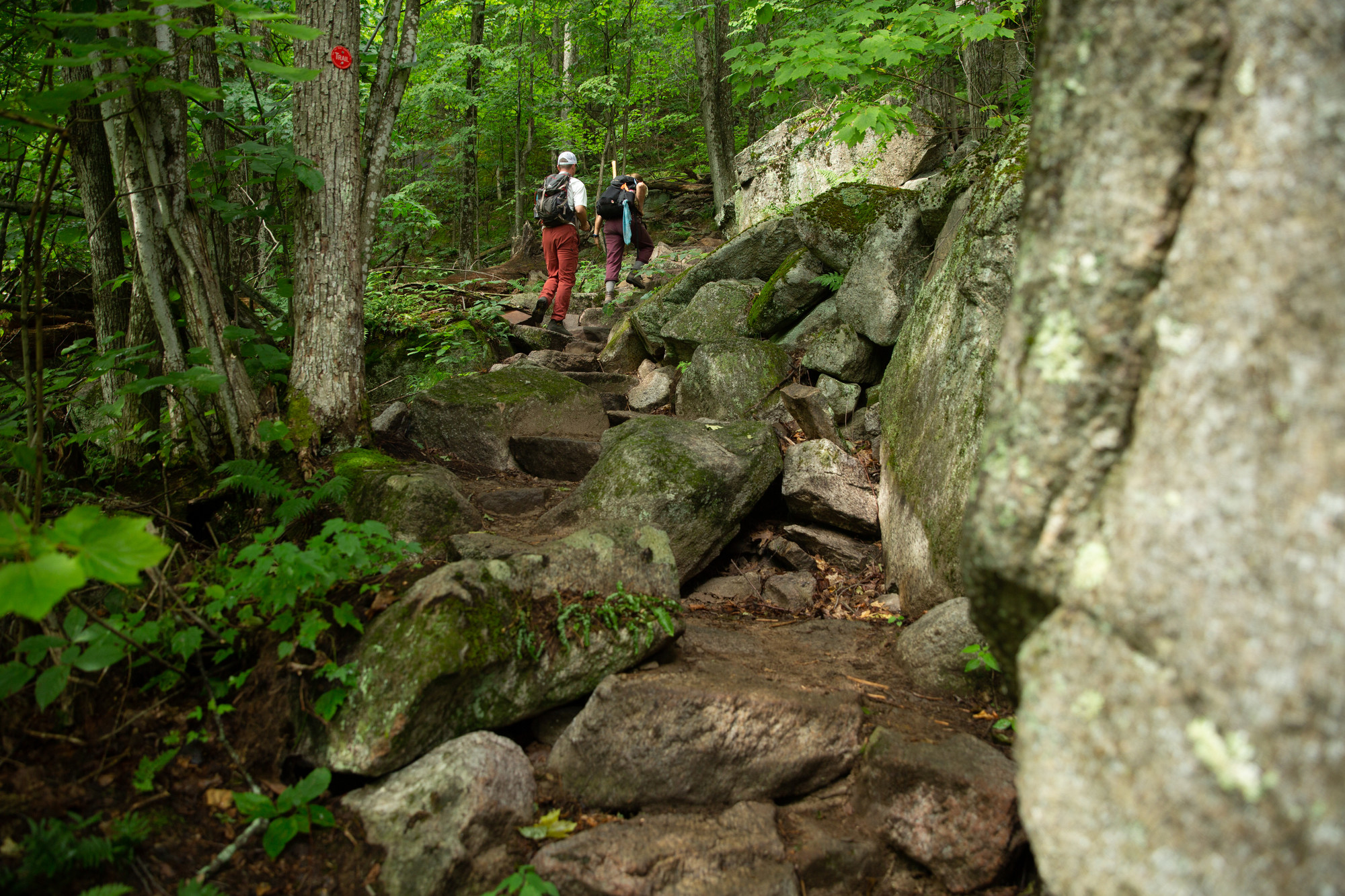 Two hikers going up the trail on Poke-o-moonshine