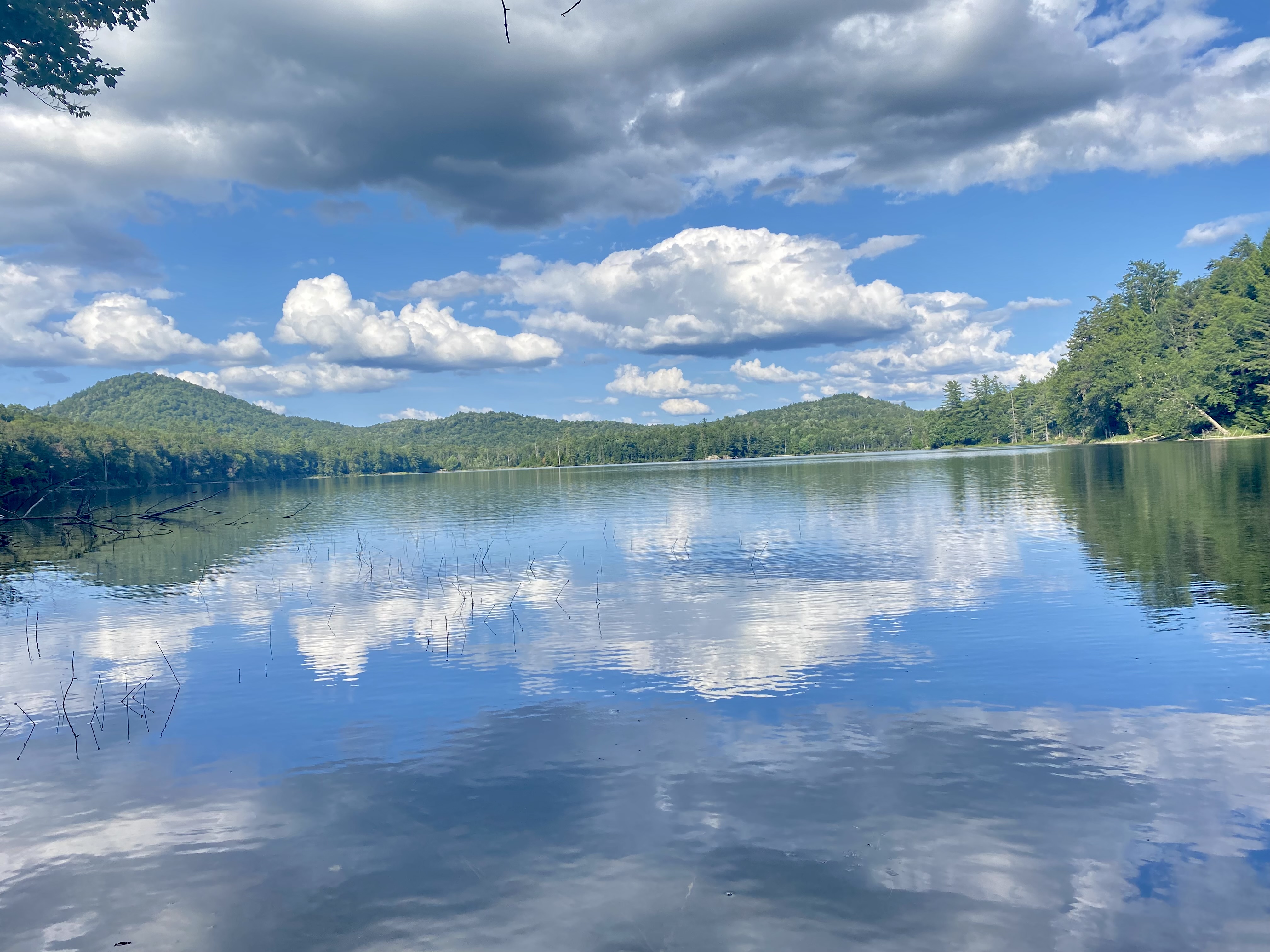 trees and clouds reflecting on lake