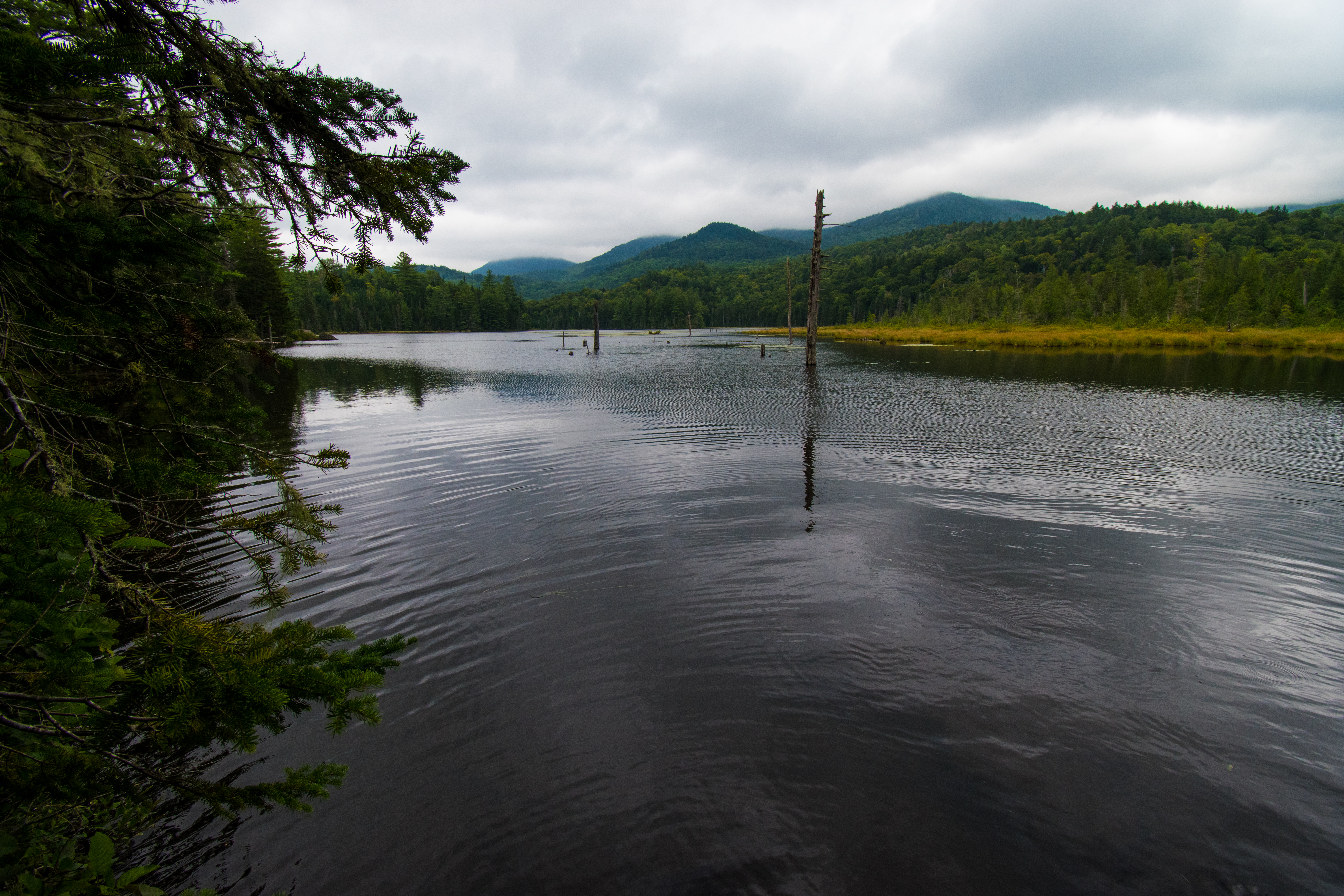 Bright green trees and low clouds set the moody backcountry scene here.
