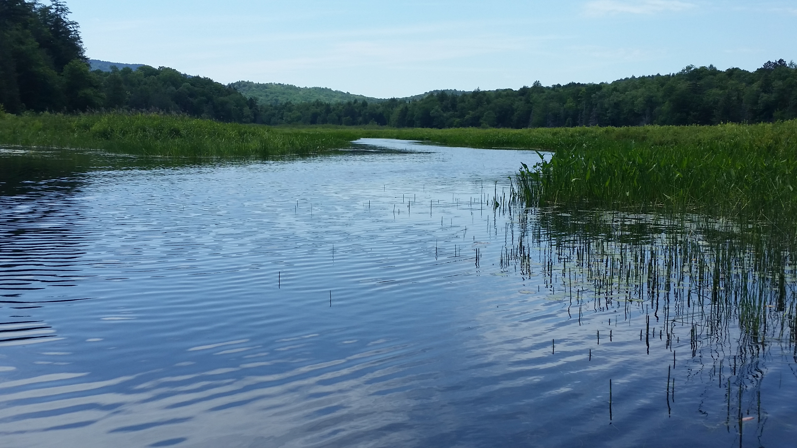 Flat Brook!  I intend to go back!