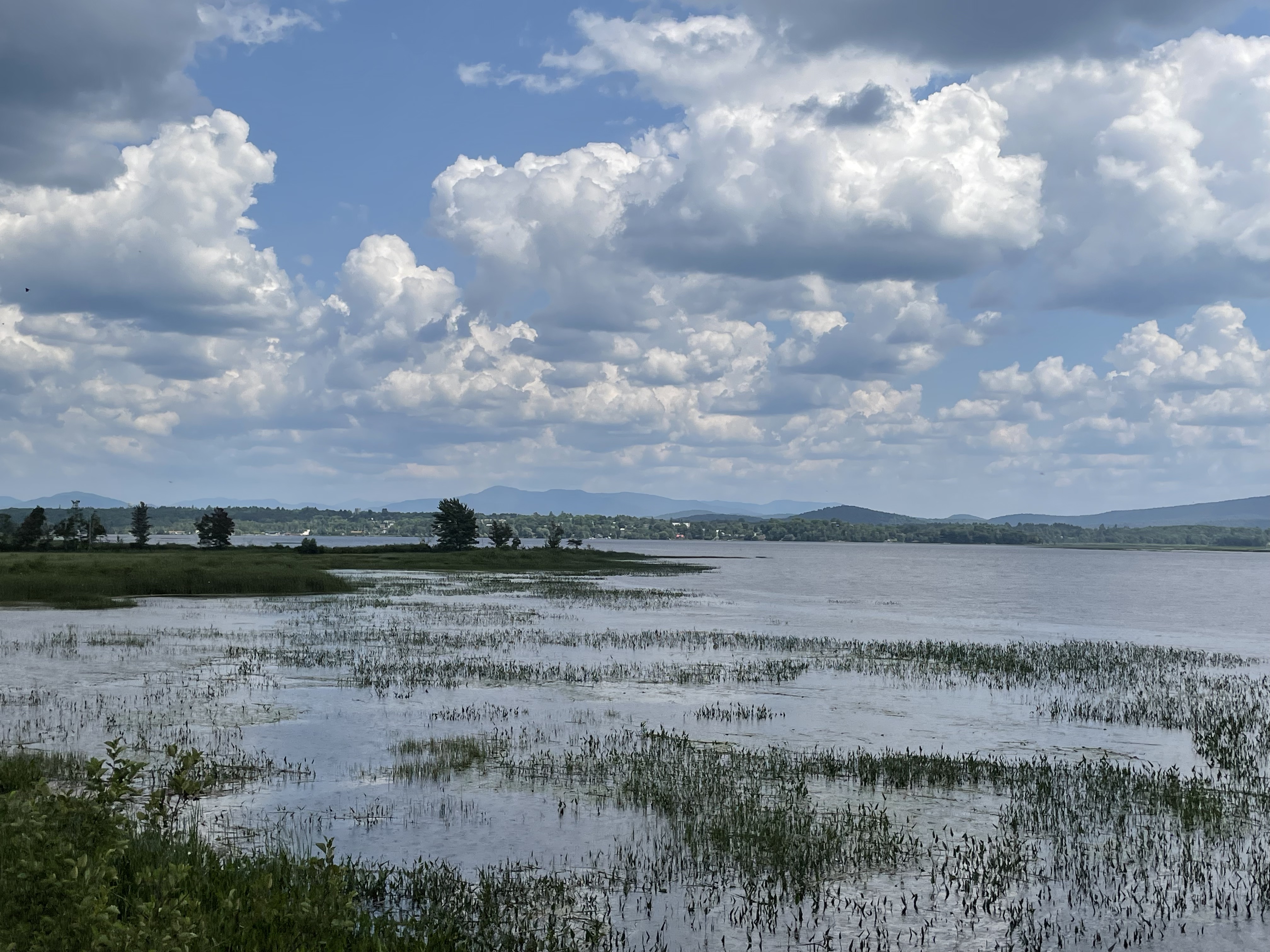 Looking across a shallow body of water to a small town, on a day with blue sky and sunshine.