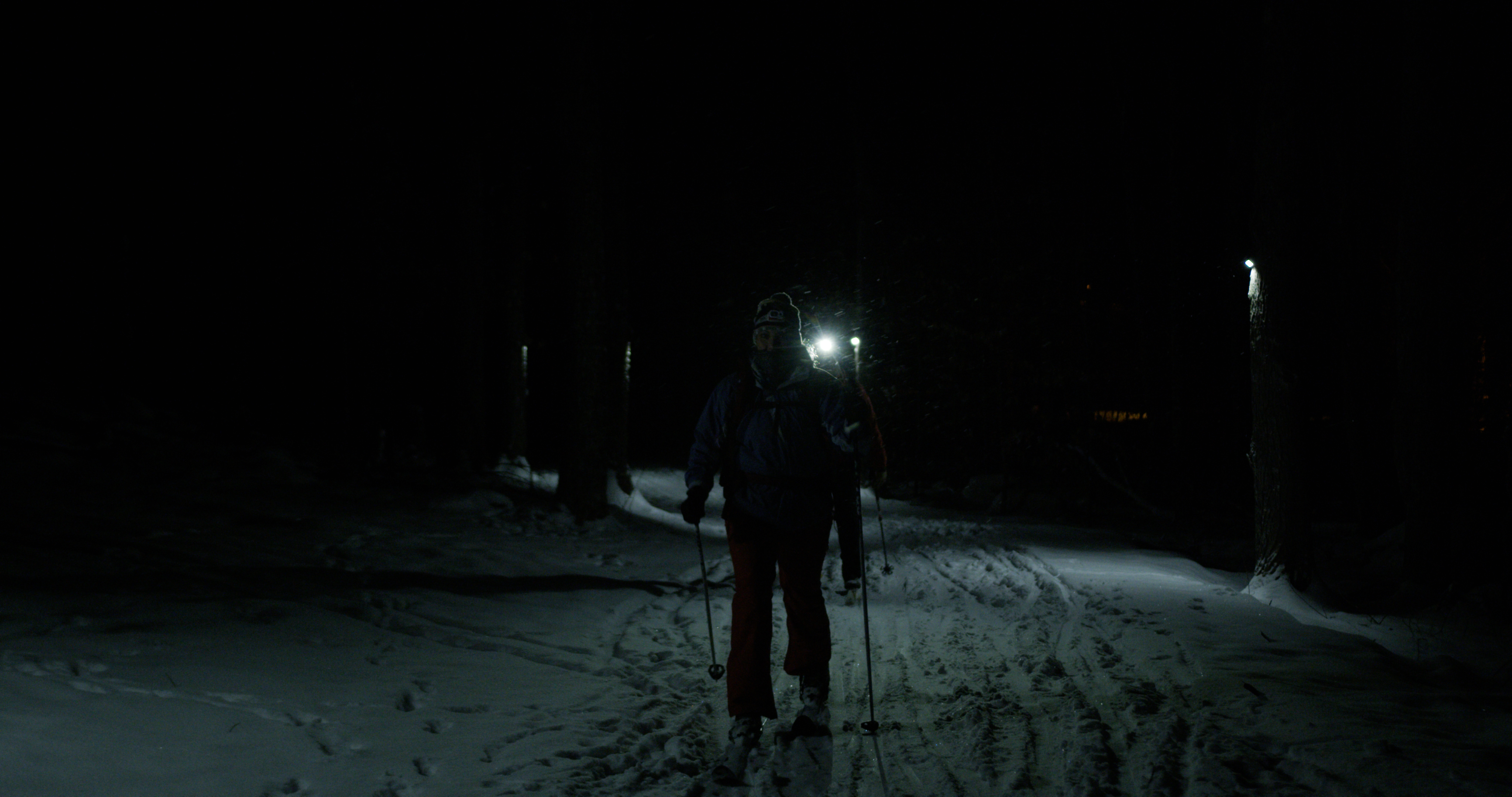 Two people ski through lights in the woods at night.