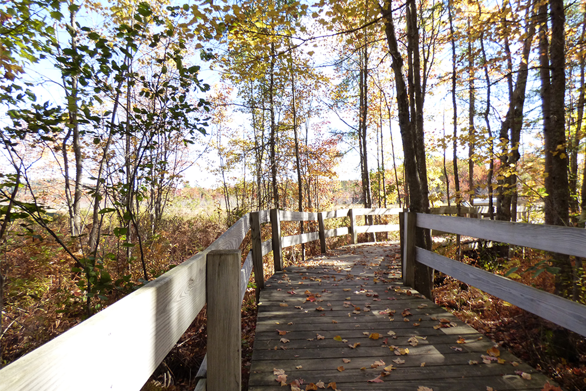 Boardwalk out to the overlook on the Sacandaga Community Pathway