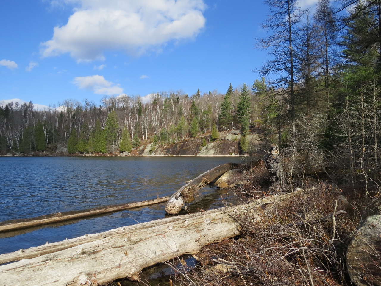 Clear Pond at Chain Lakes Road South