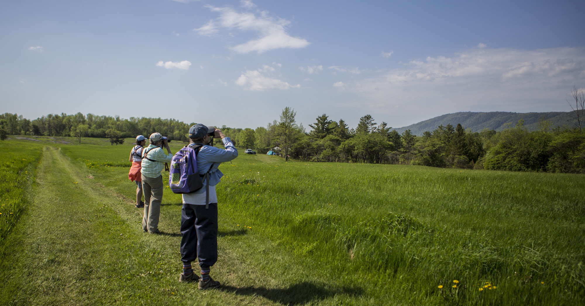 three people search for birds on a sunny day.