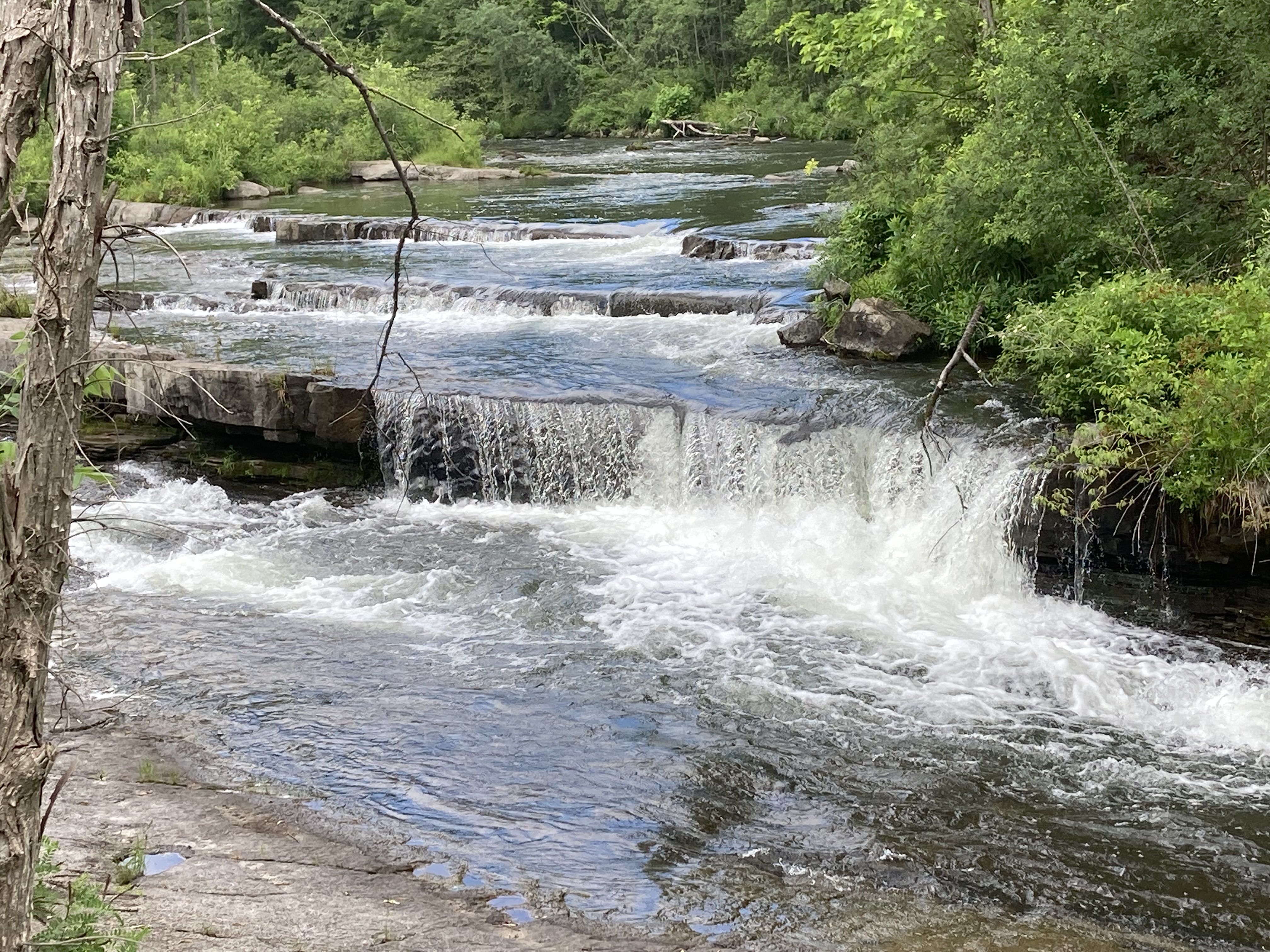 The step-like levels of a gradual series of falls on a river.
