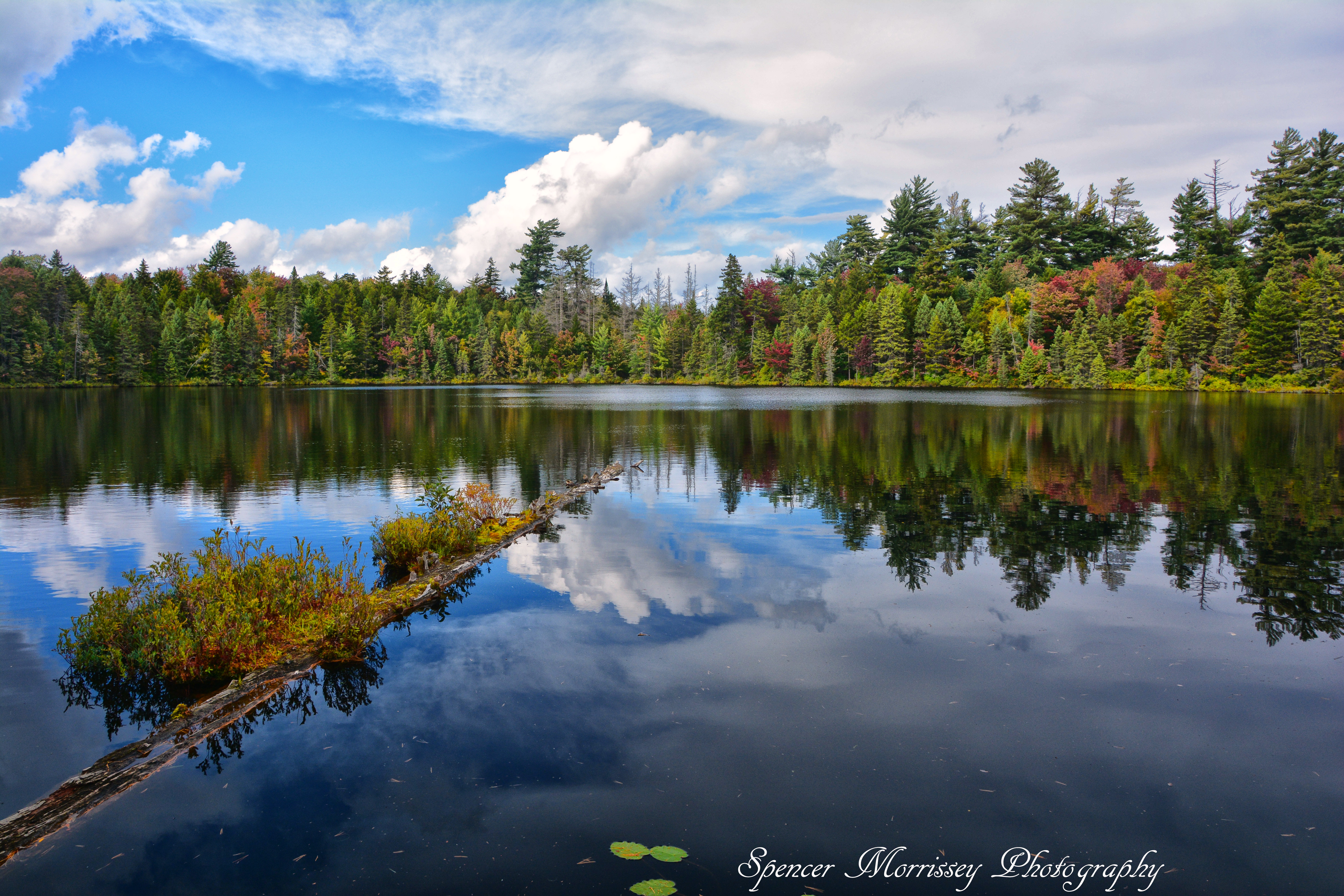 Icehouse Pond