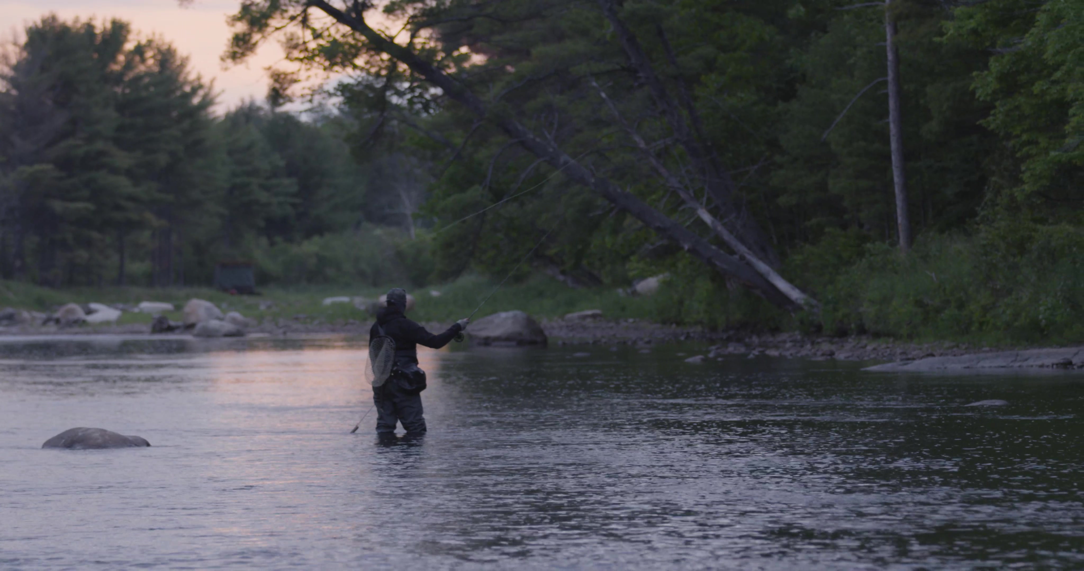 From behind, Bottcher stands in the river waiting for a fish to feed.