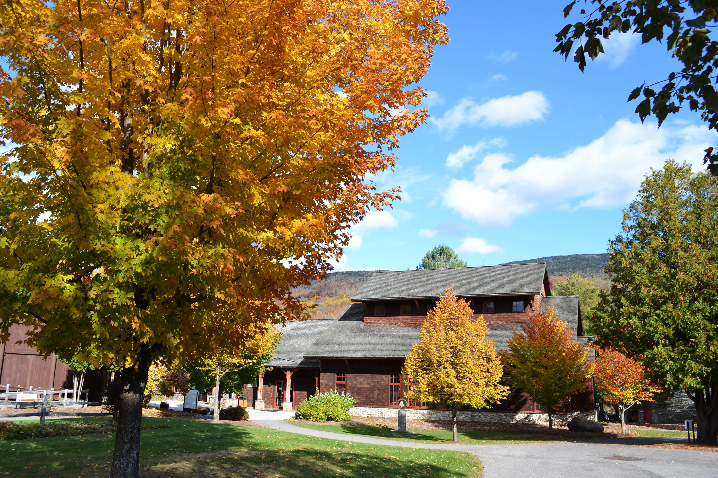 Spend a day at the Adirondack Museum.