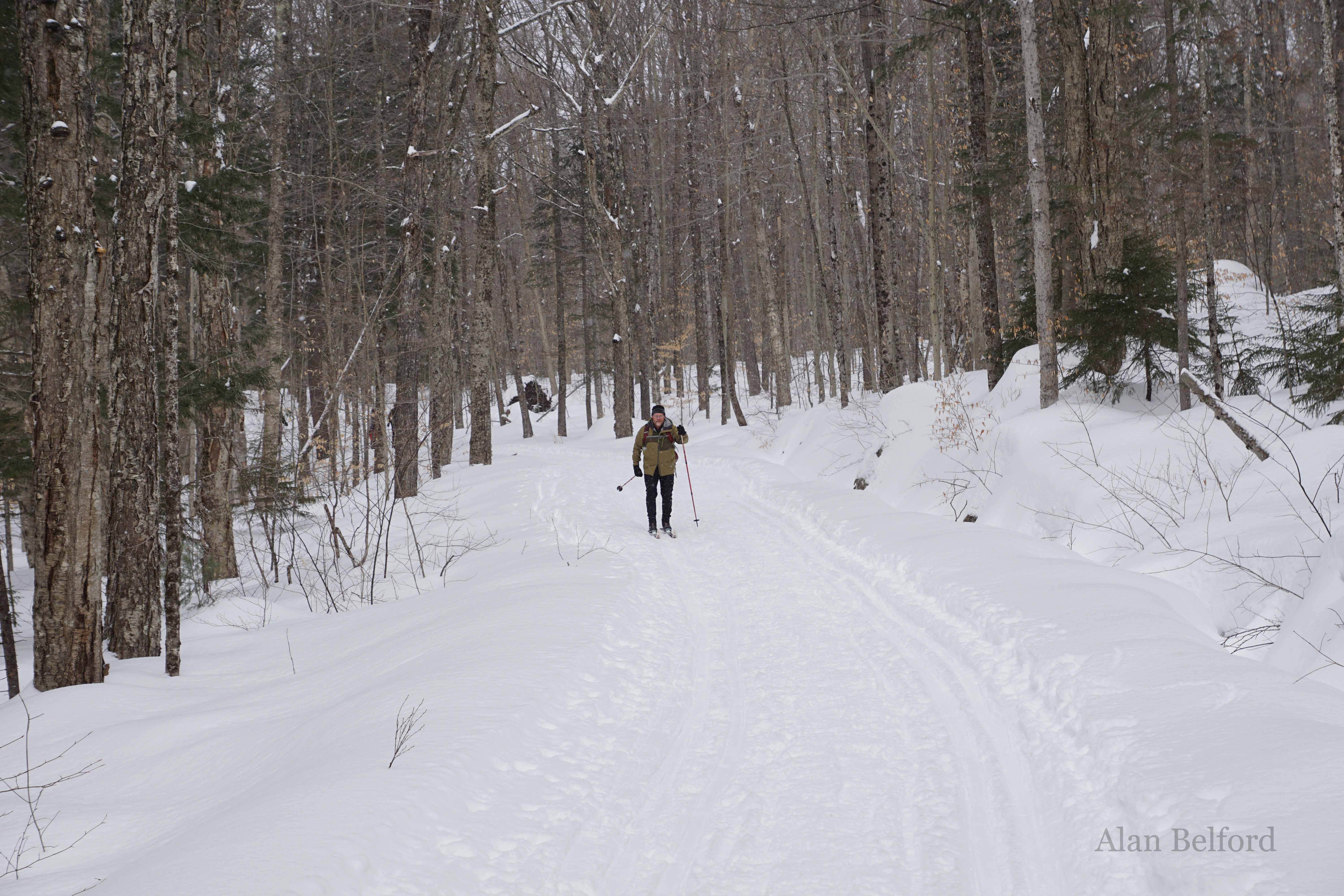 A skier returns from the main camp as I head out.