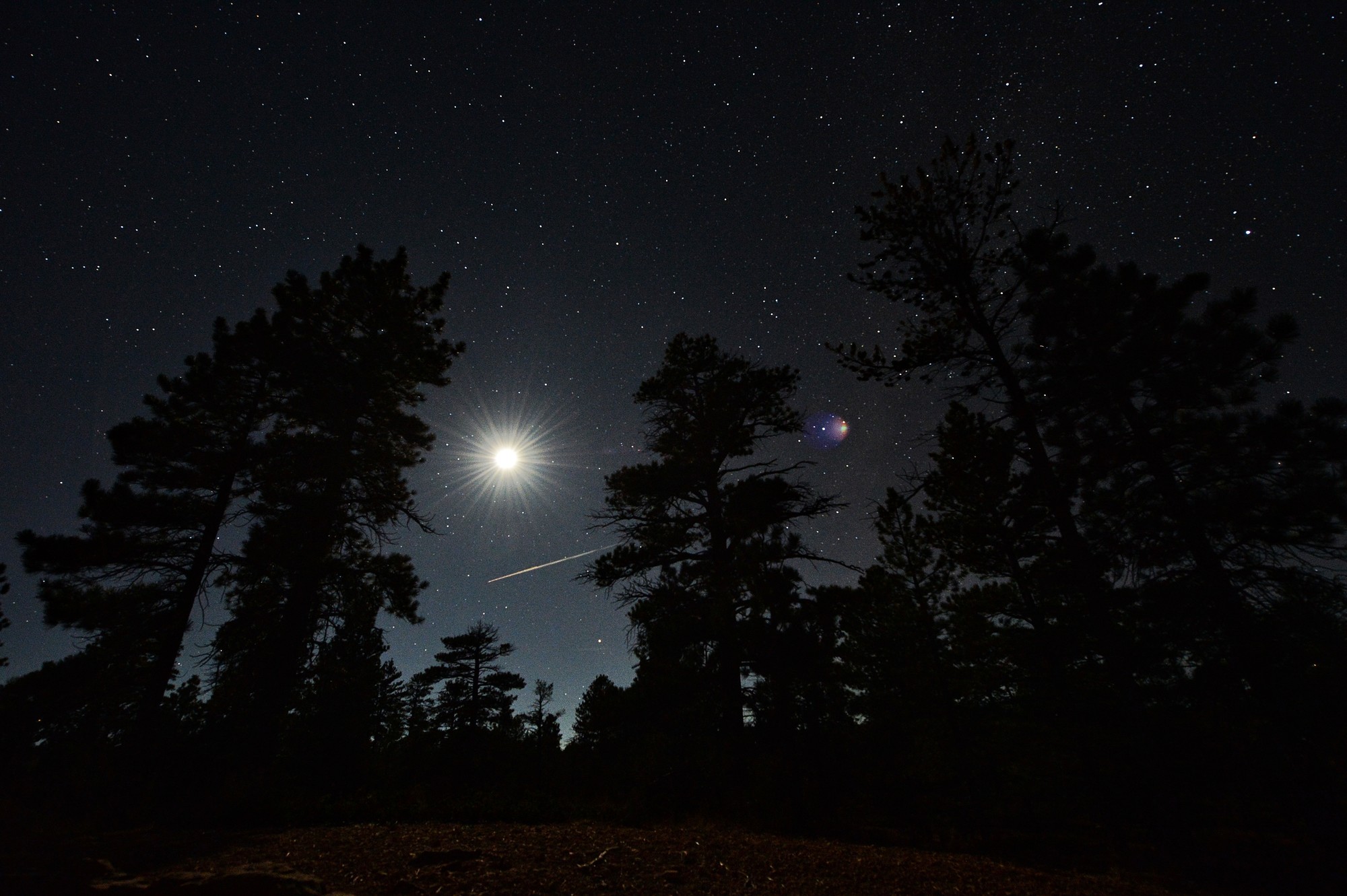 A bright full moon appears above the silhouettes of trees in Tupper Lake.