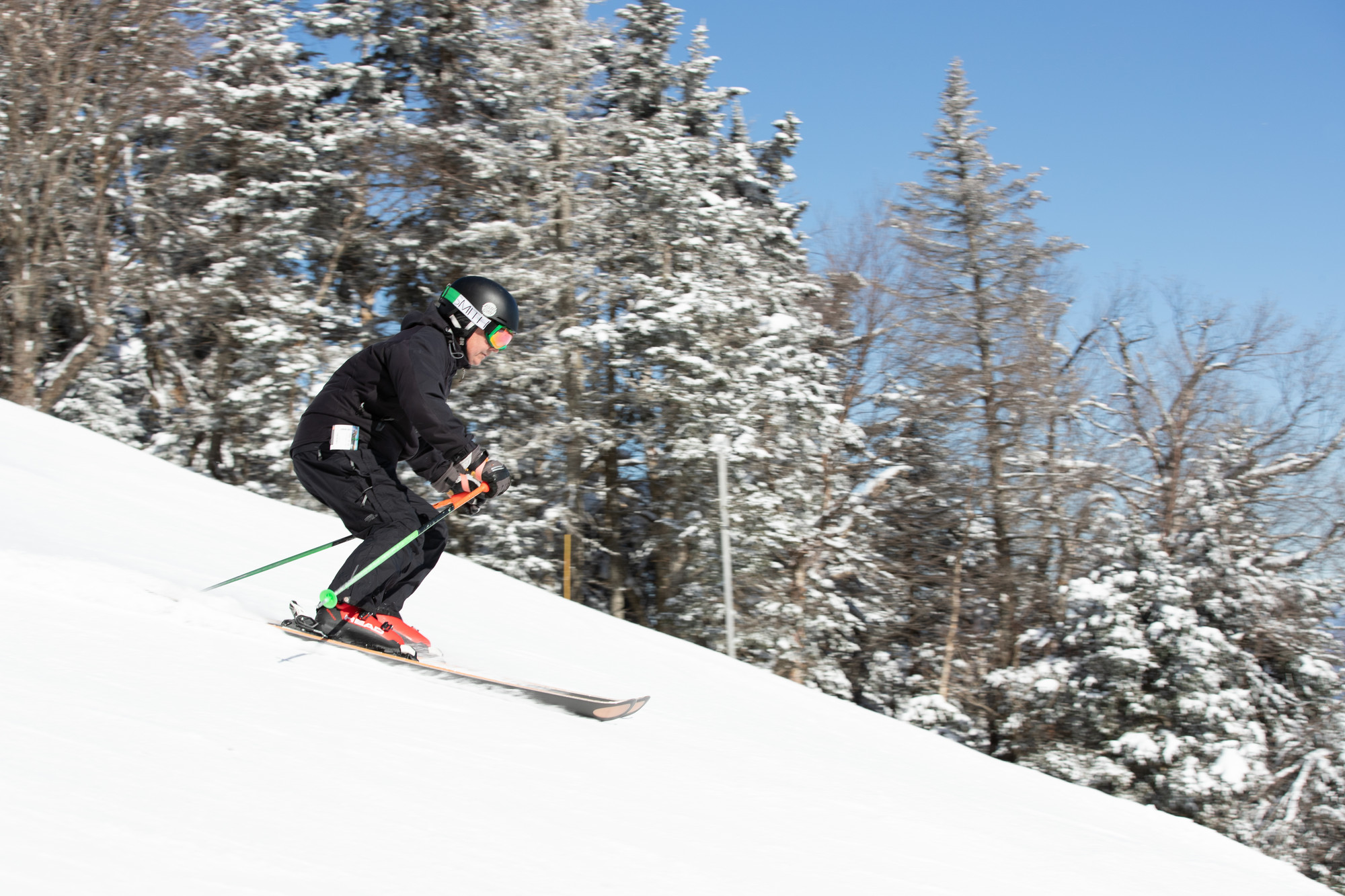 A skier races down a steep, snowy slope on a sunny day, with evergreen trees in the background.