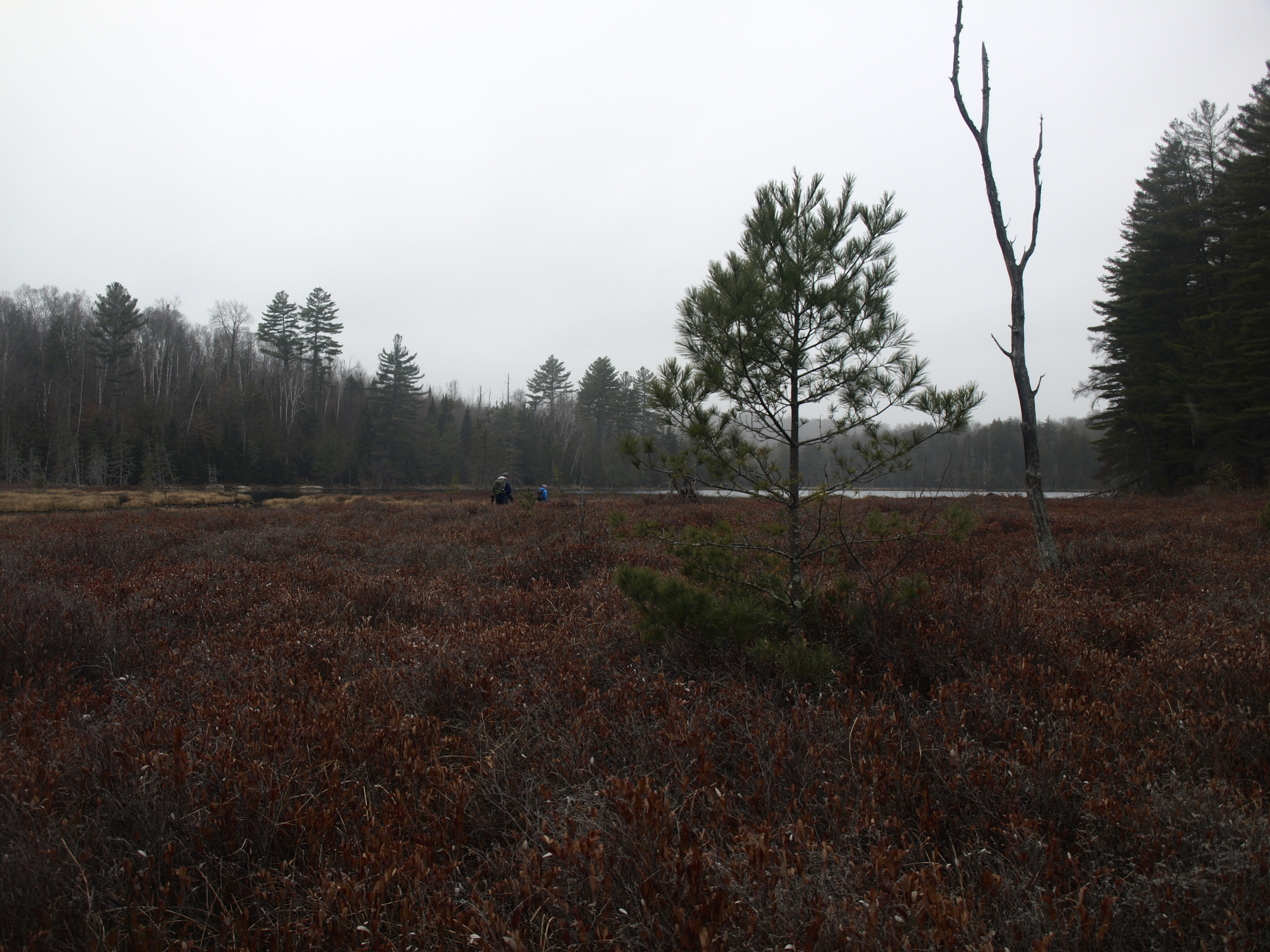 Mud Pond