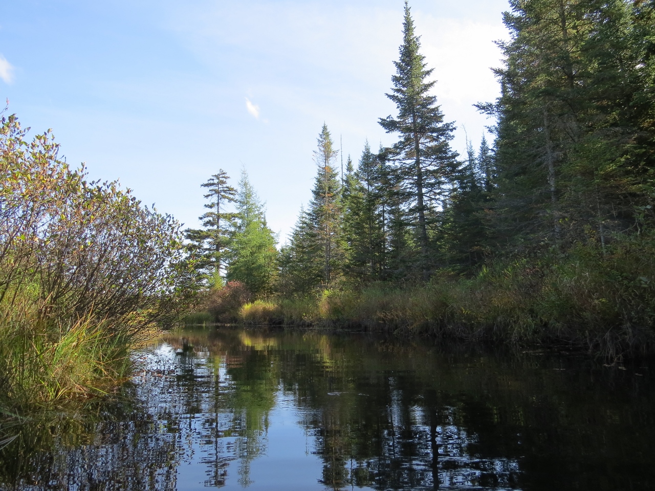 Lake Lila - Shingle Shanty Brook