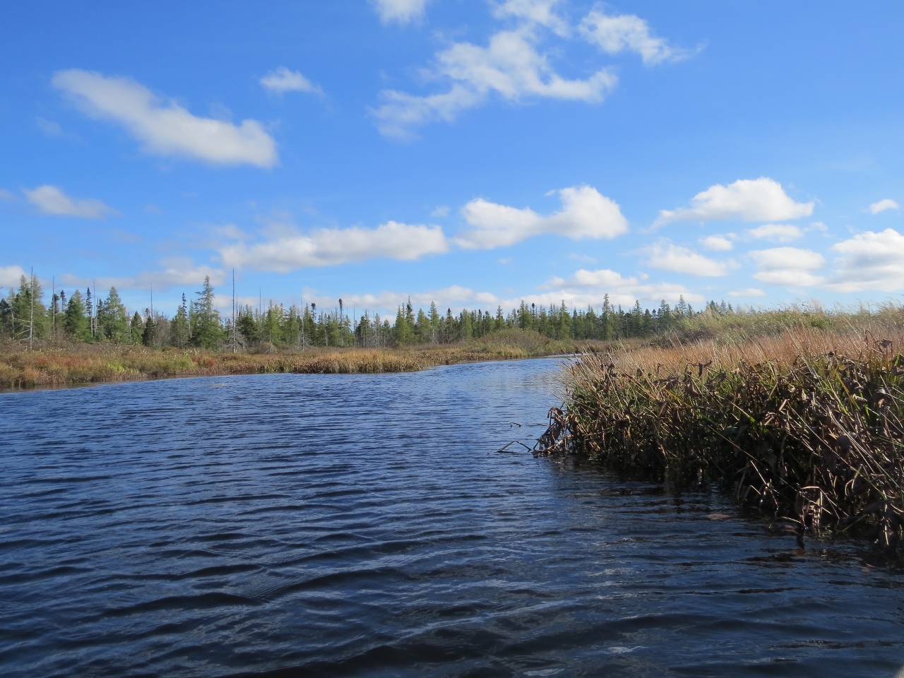 Lake Lila - Shingle Shanty Brook