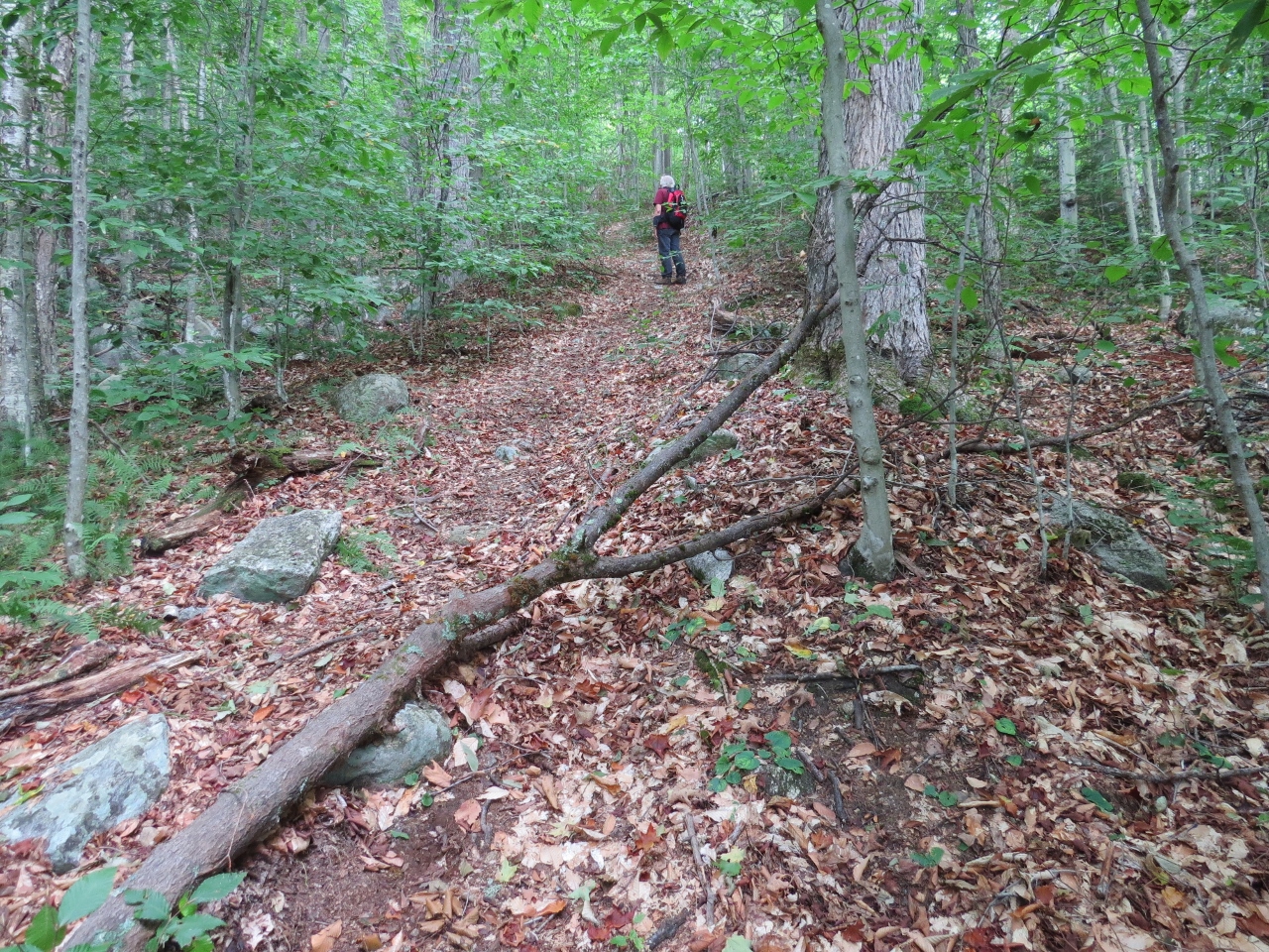 Steep trail up Mud Pond Mountain