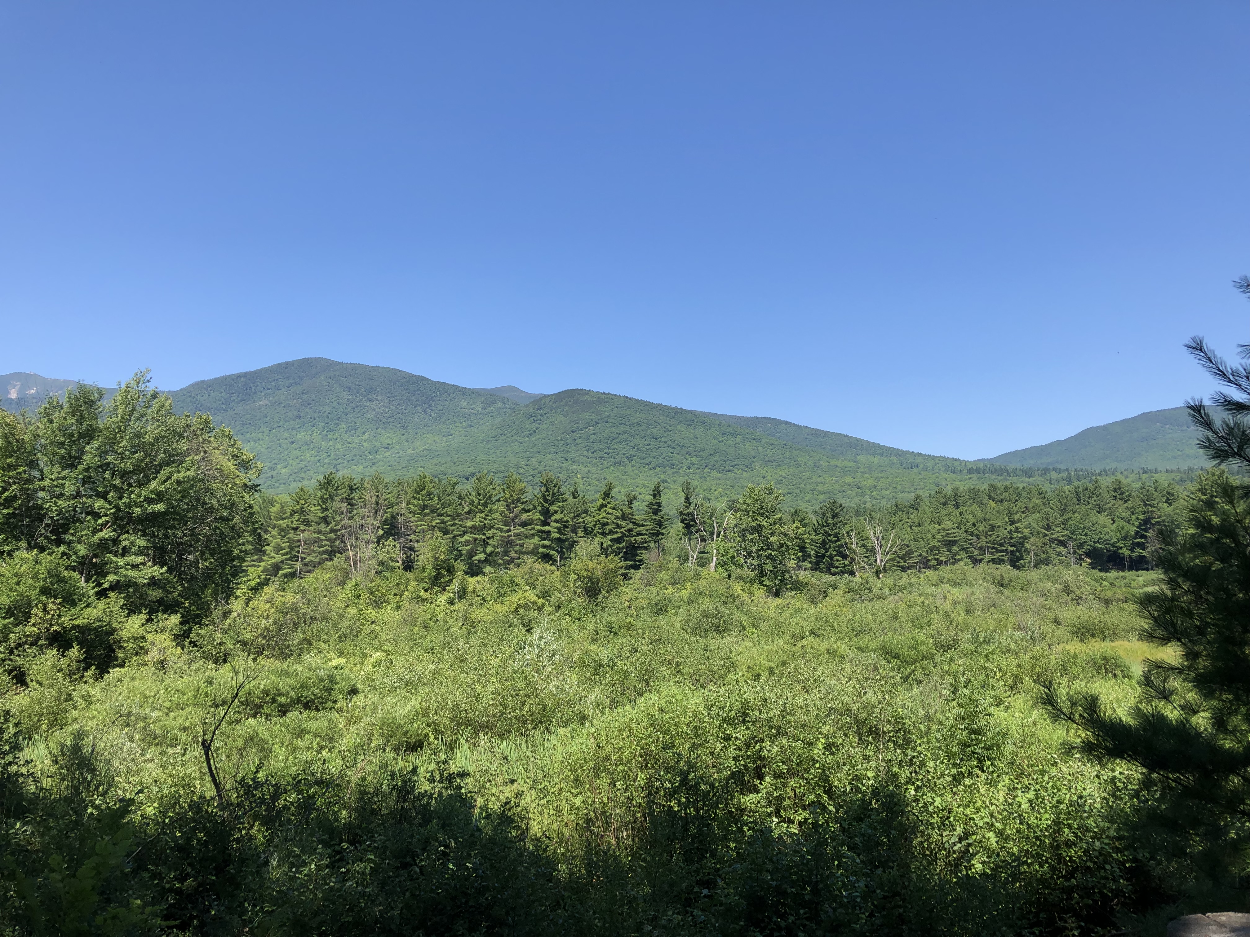 Views of a field and a mountain