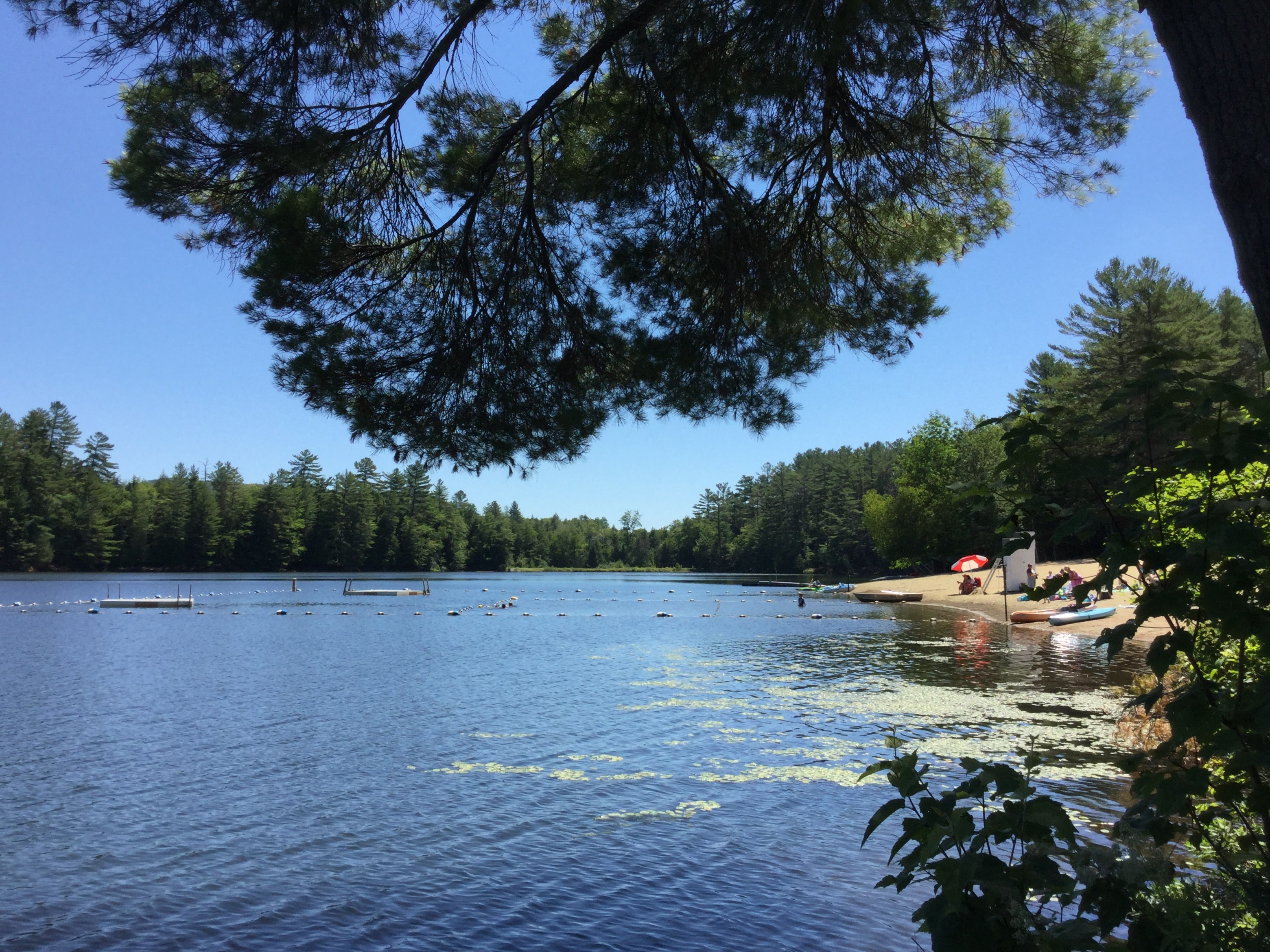The view from a cluster of picnic tables. There are more.