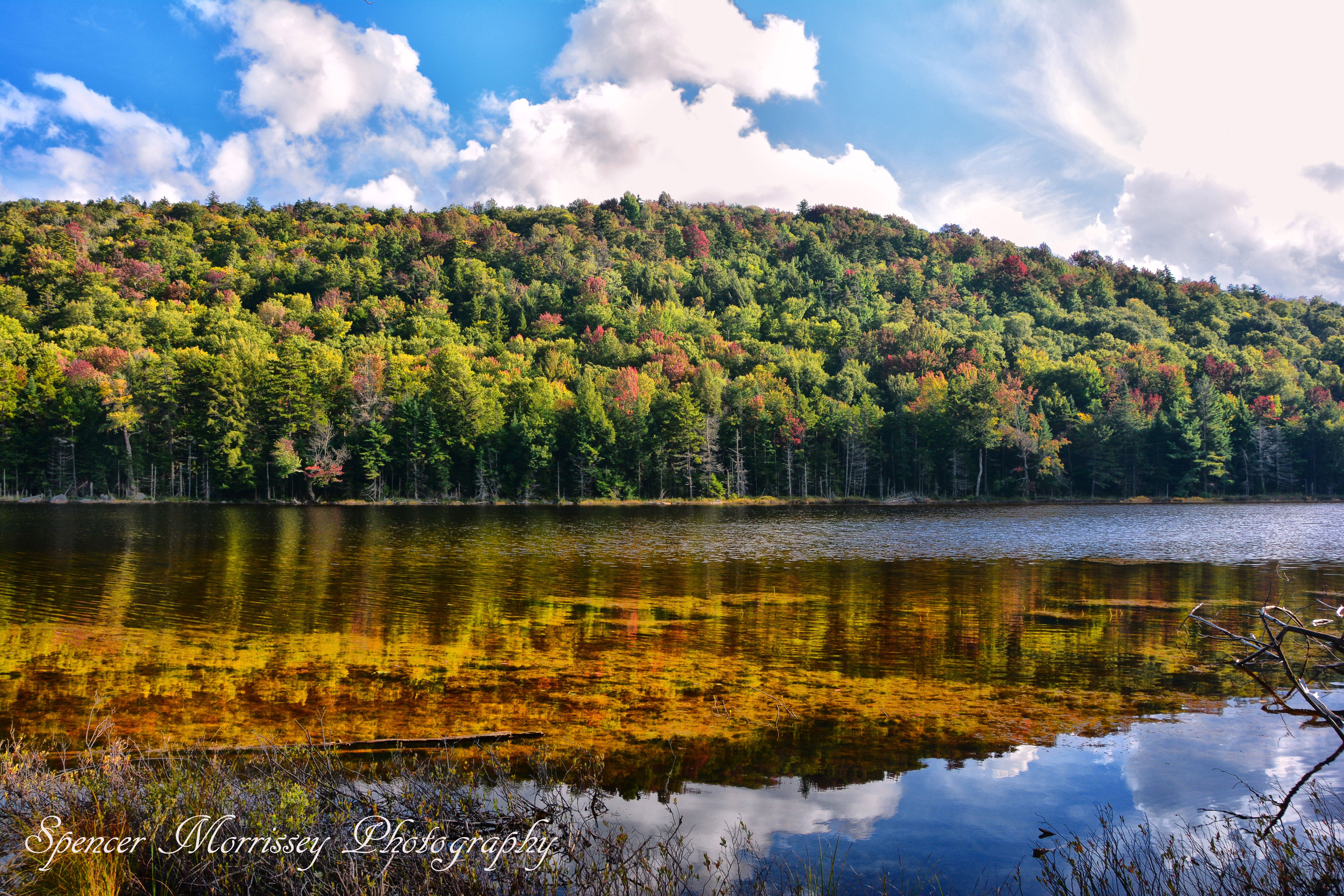 Fawn Lake