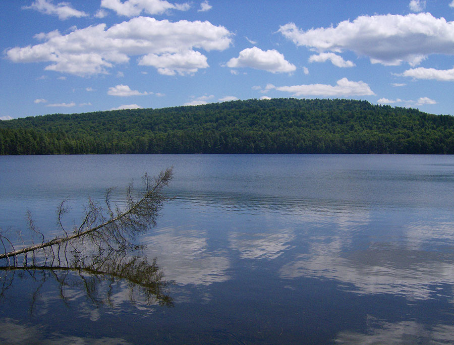 Sargent Pond