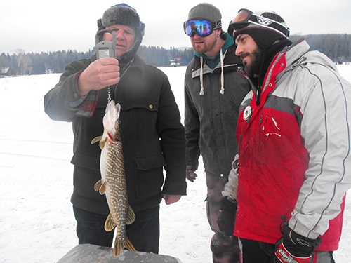 Ice fIshing