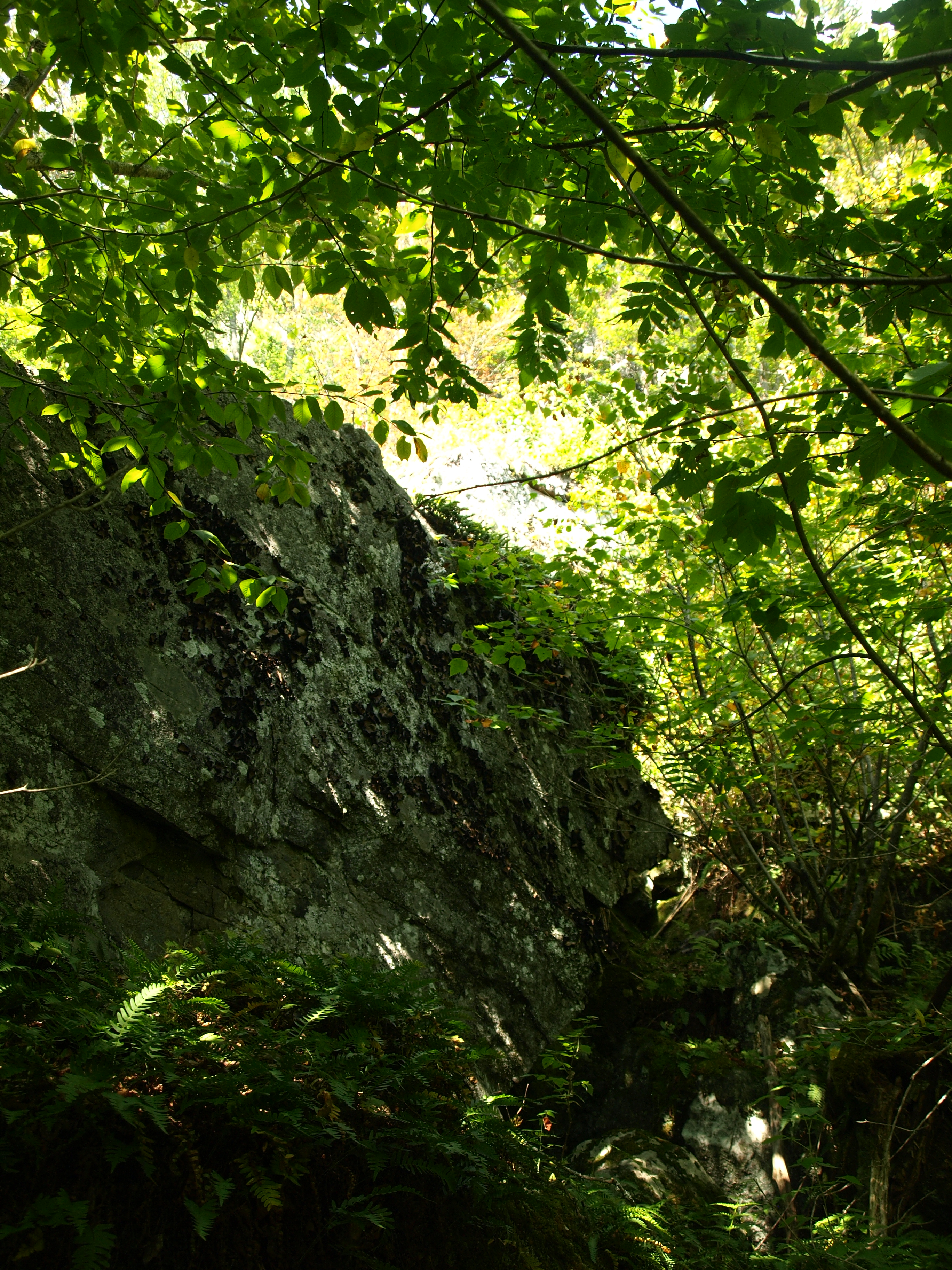 Bouldering