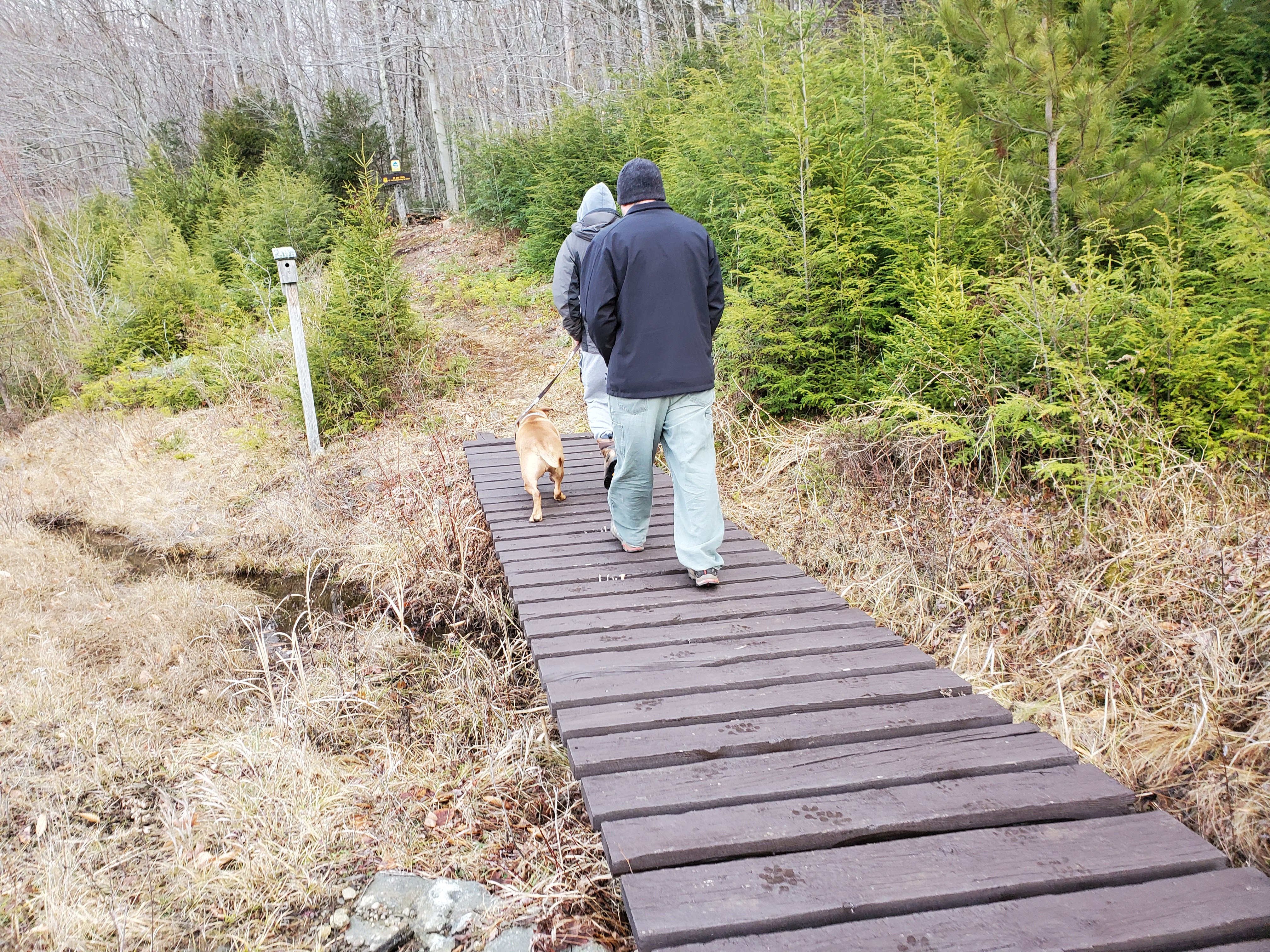 Foot Bridge at Foxey Brown Trail